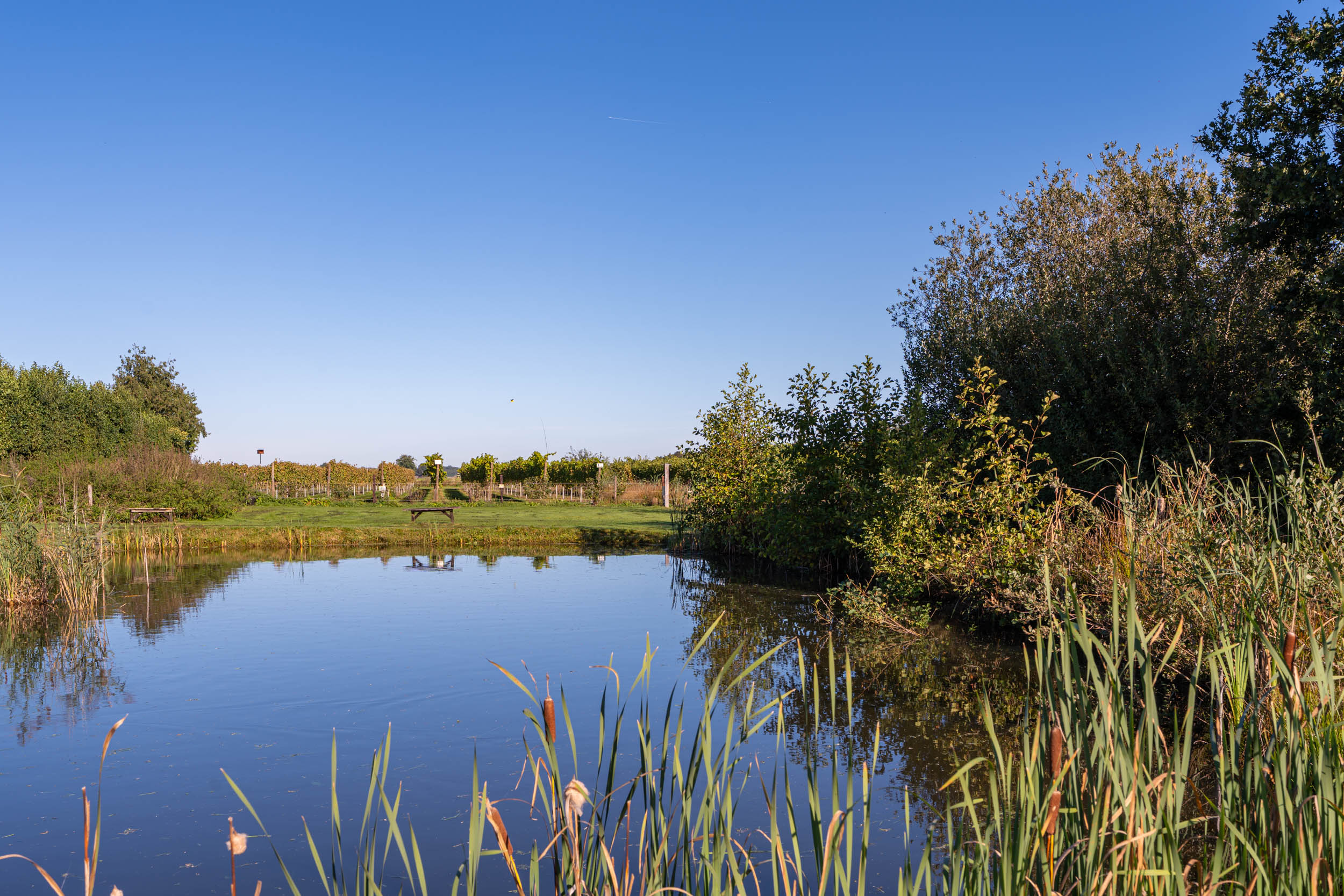 Natuurhuisje in Ruinerwold