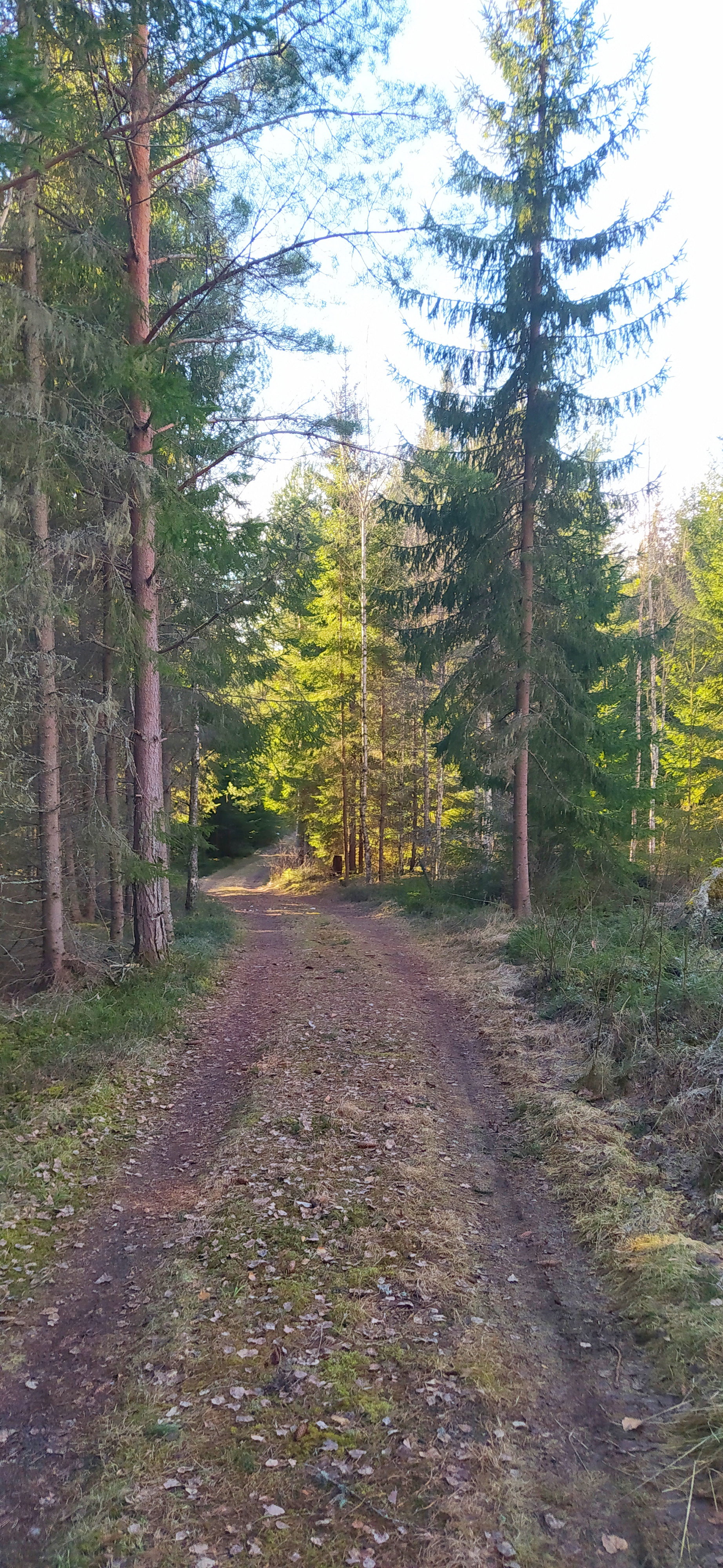 Naturhäuschen in Sunne