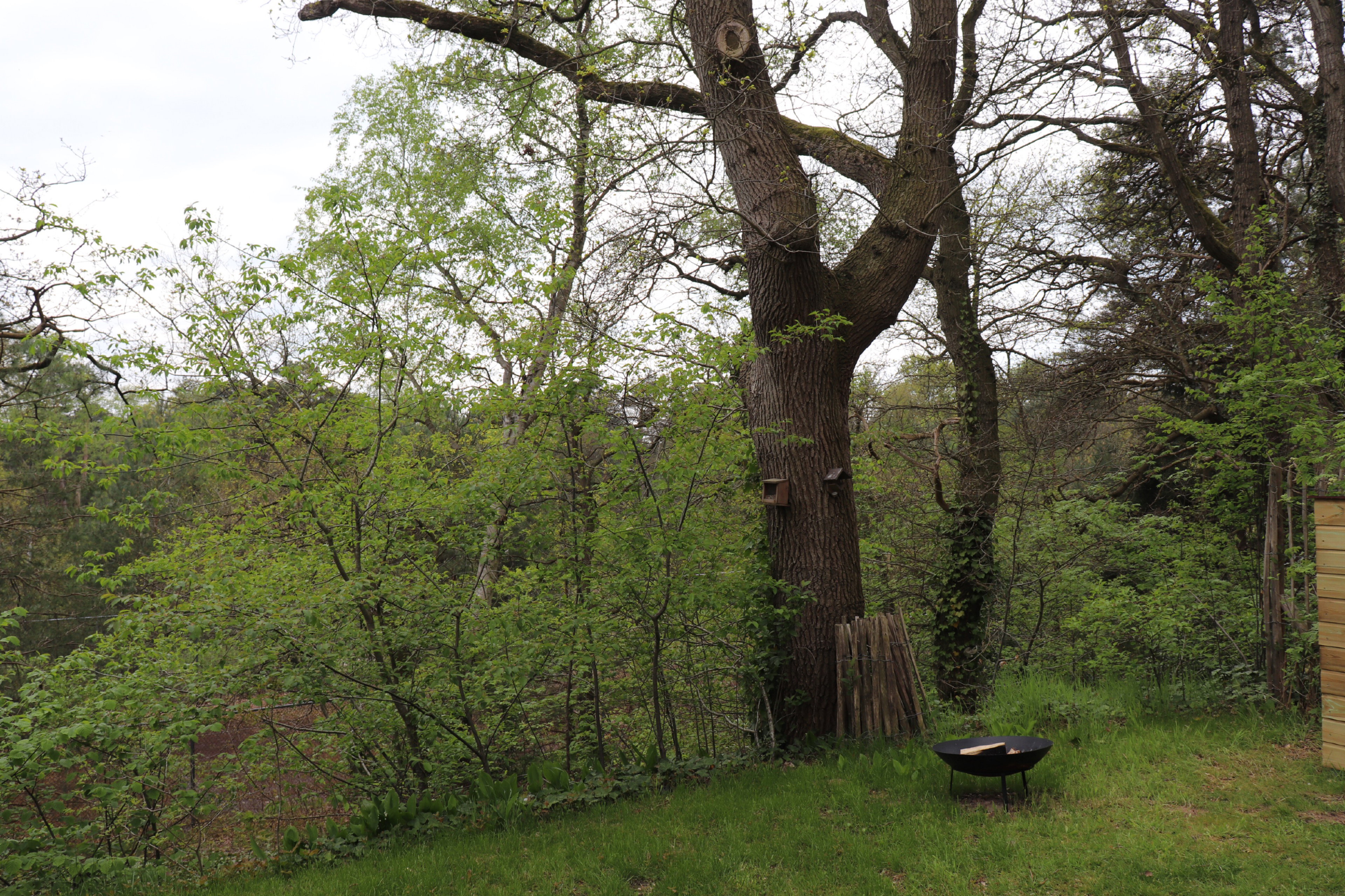 Natuurhuisje in IJhorst