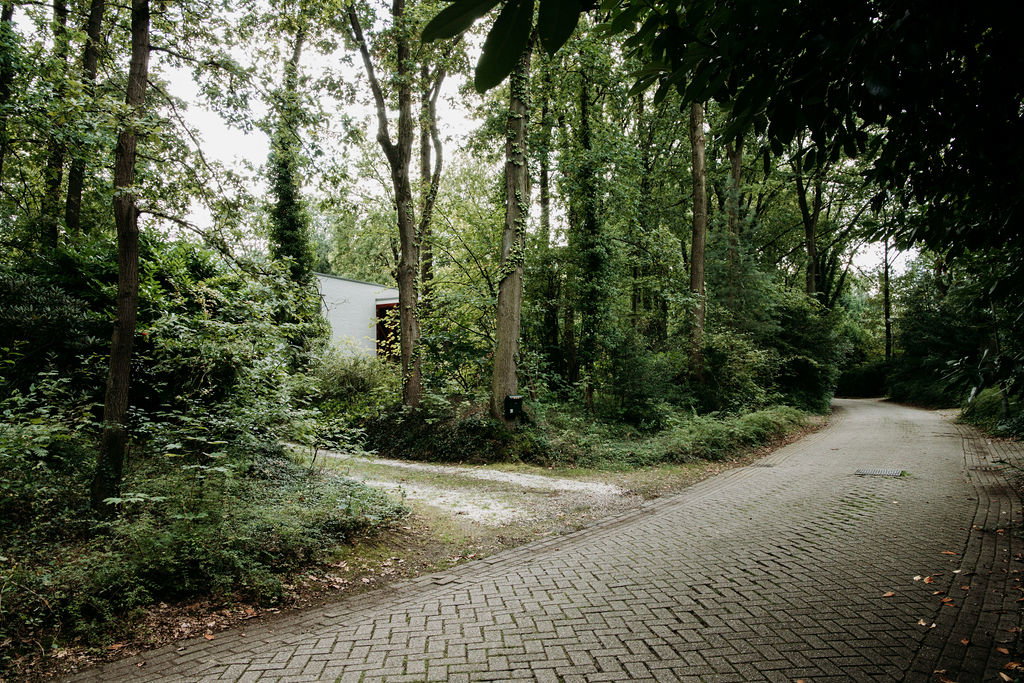 - image: 46