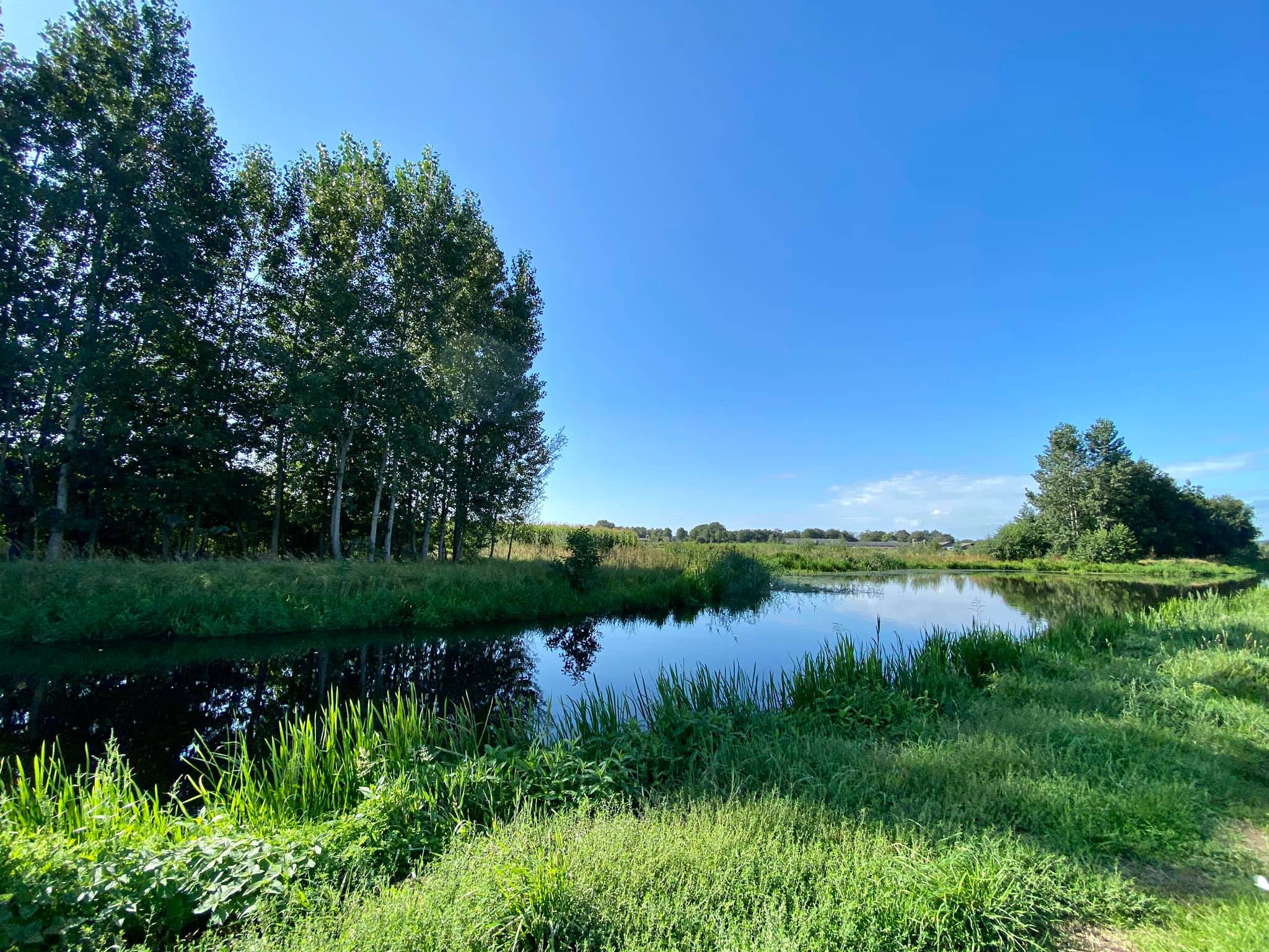 Natuurhuisje in Vorstenbosch