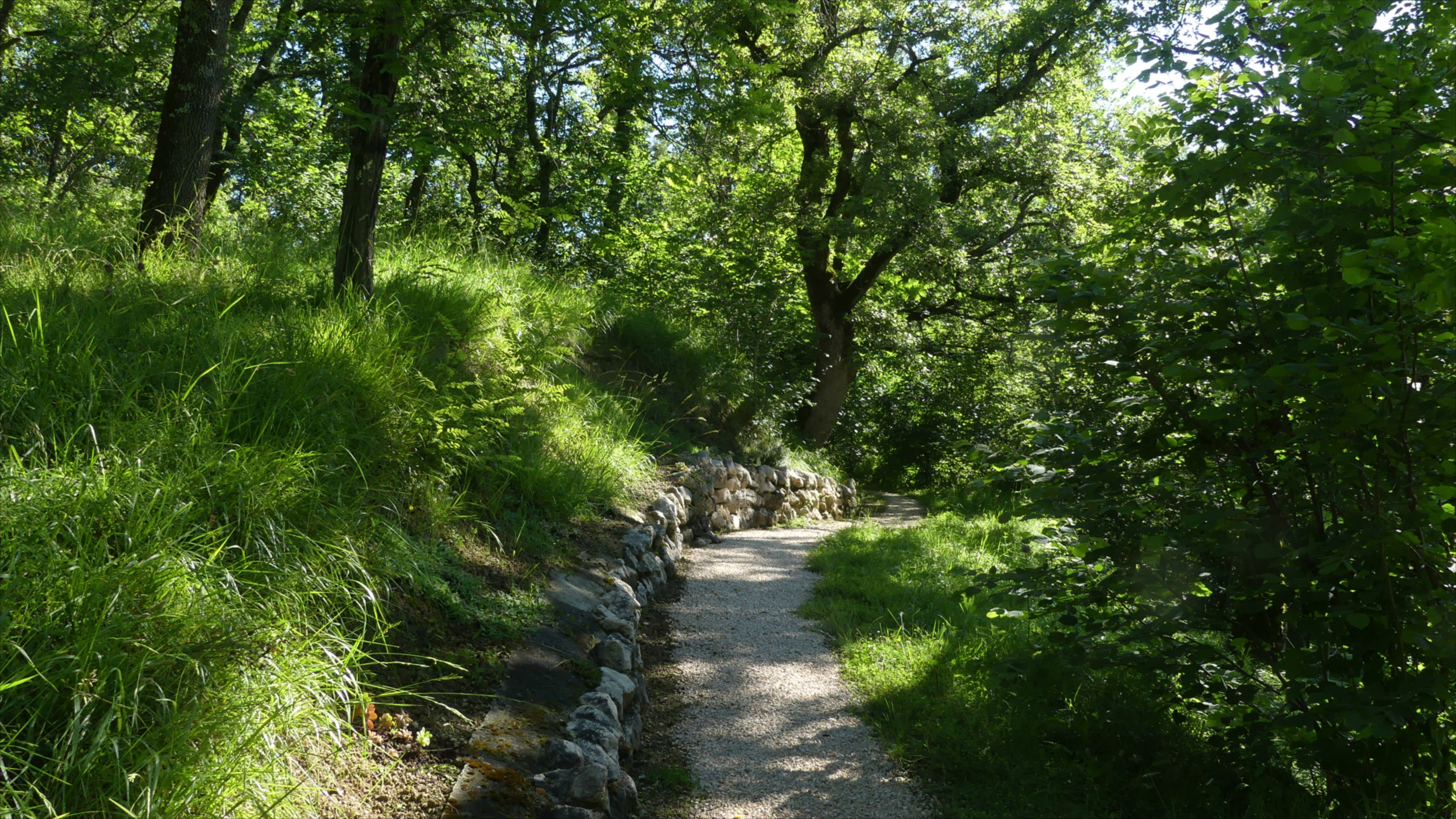 - image: 15