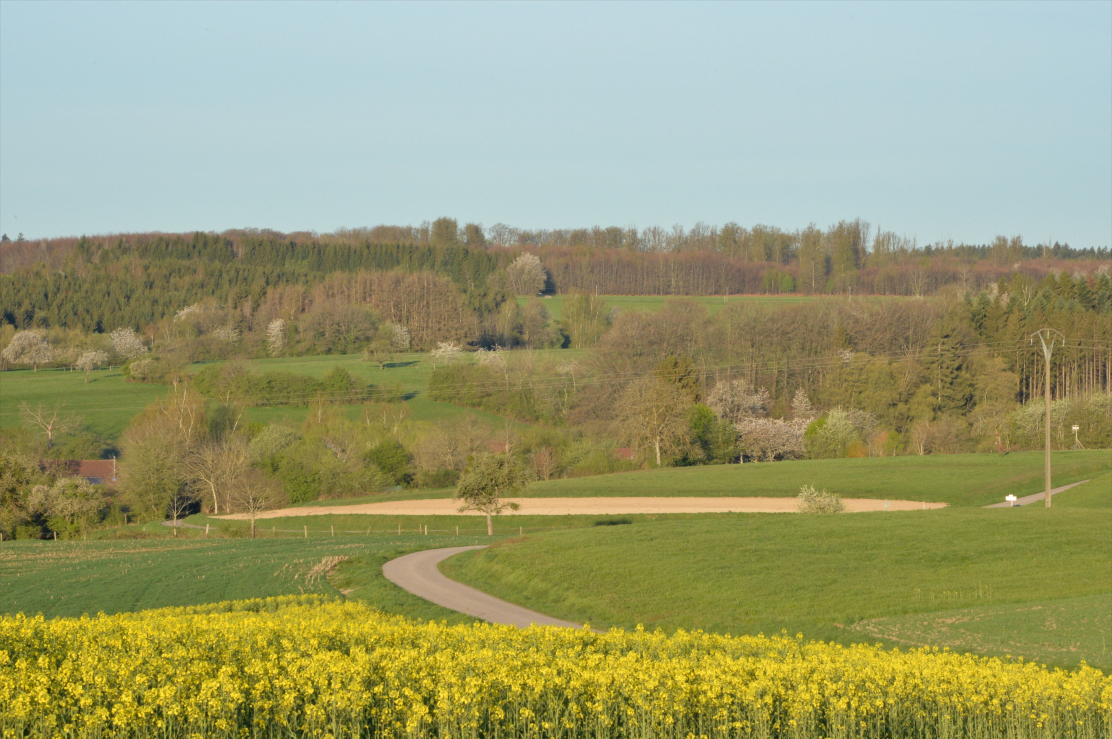 - image: 11