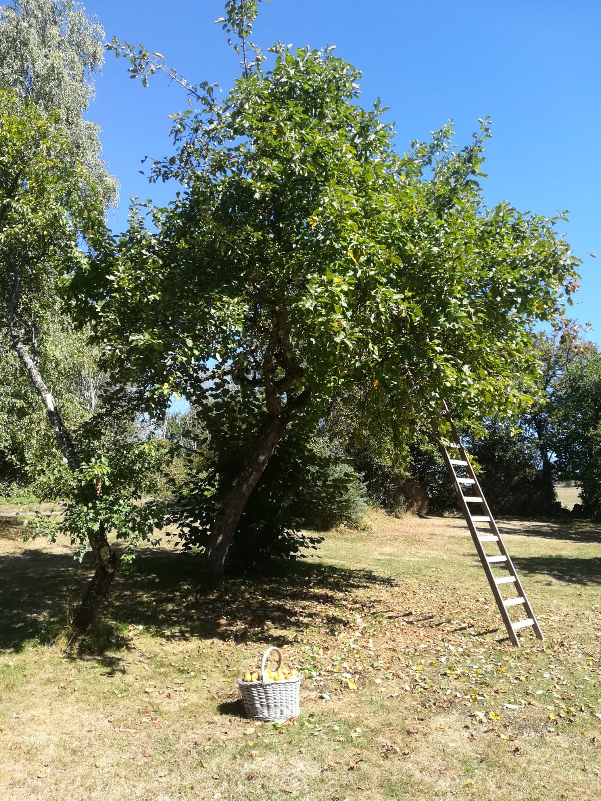- image: 22