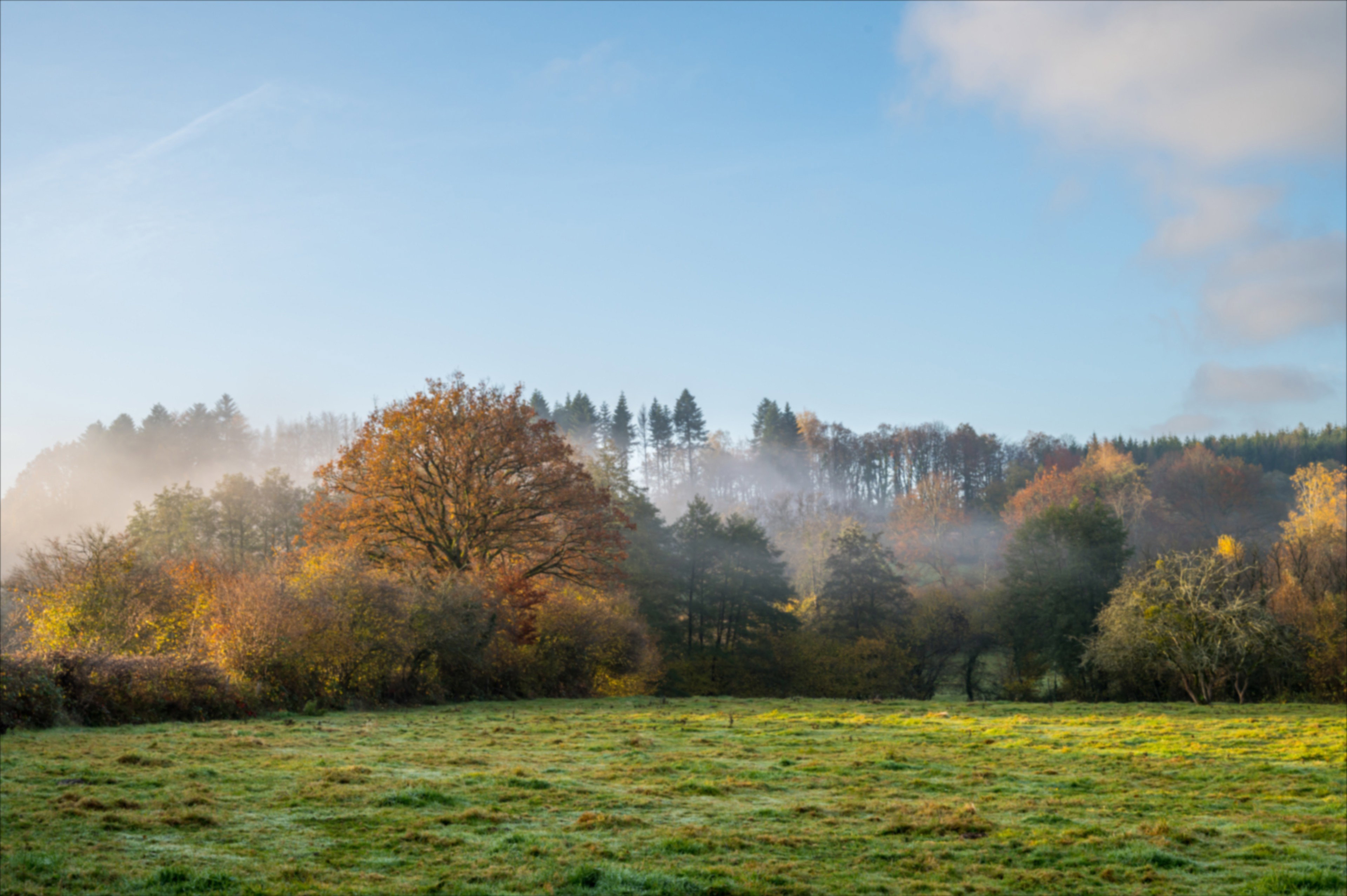 Natuurhuisje in Grandrupt de Bains