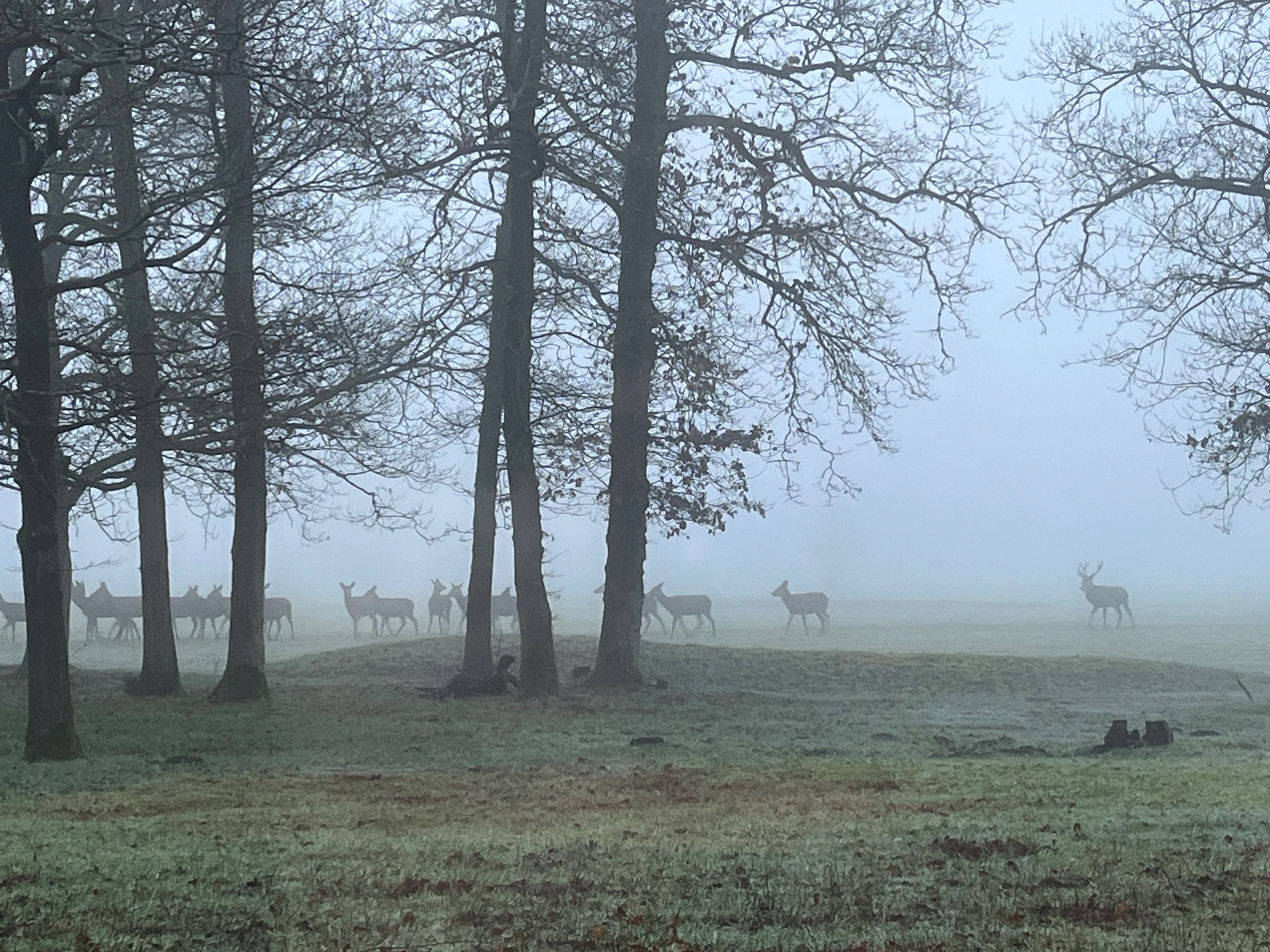 Naturhäuschen in Emst