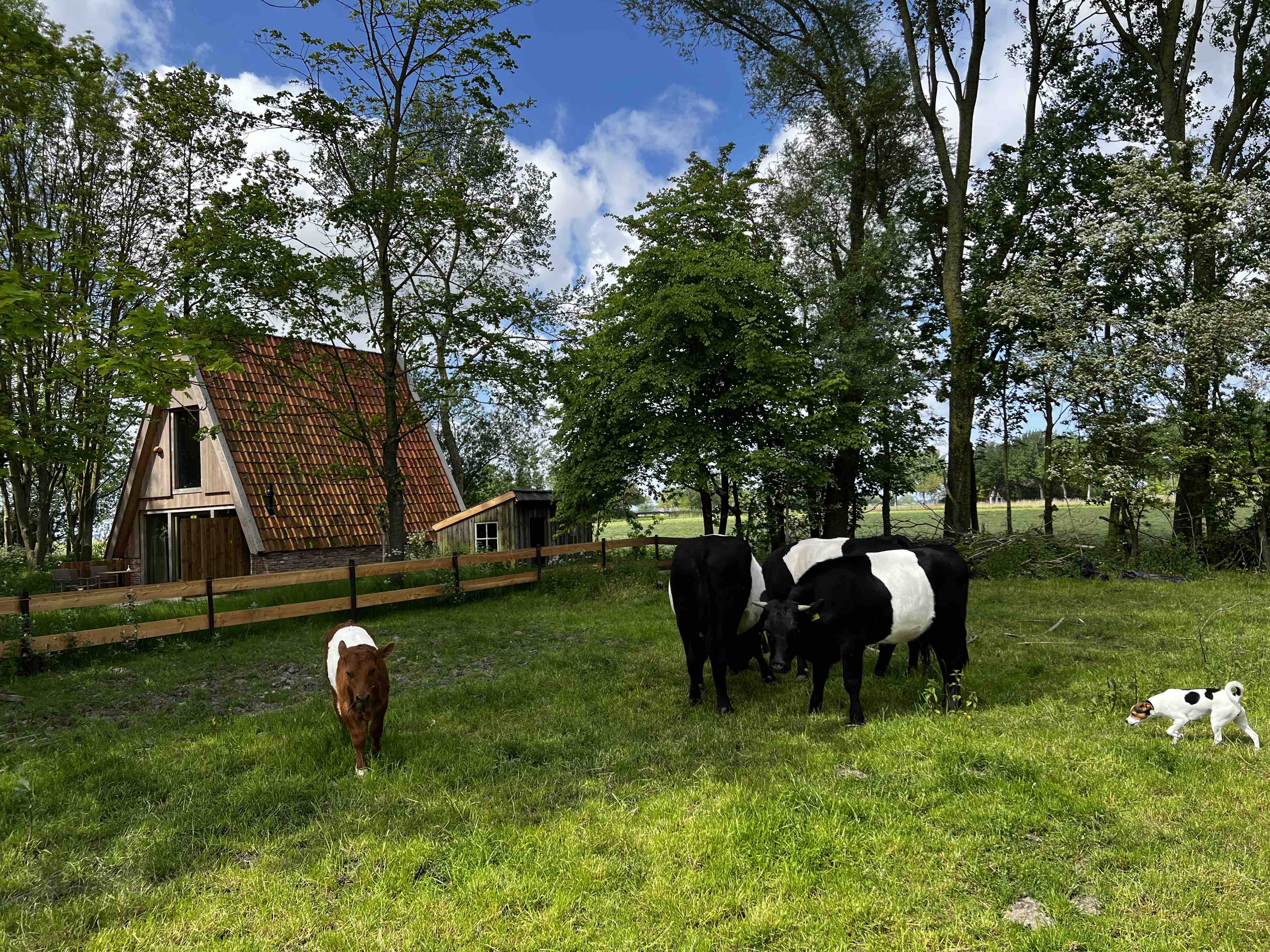 Naturhäuschen in Tinallinge