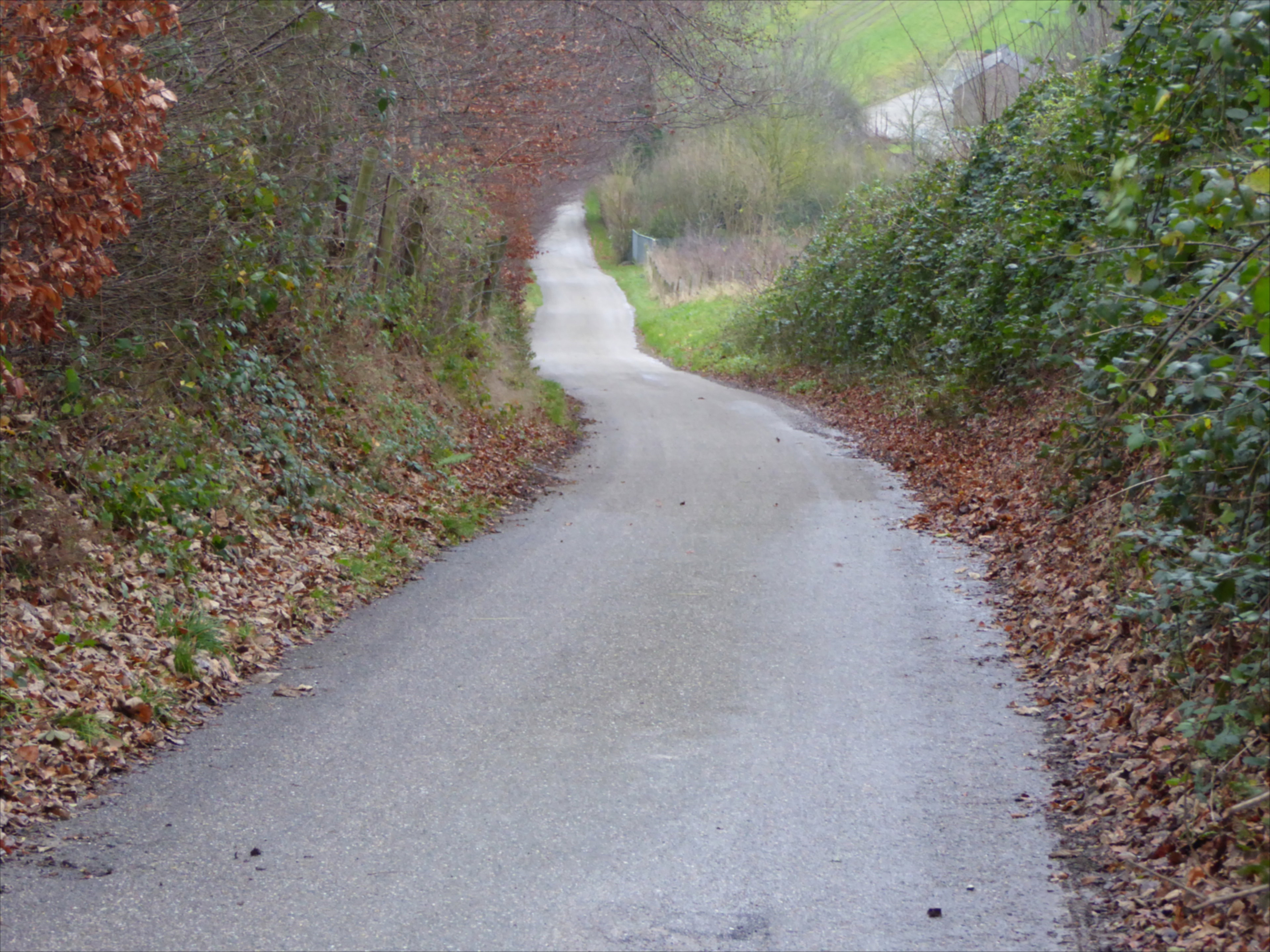 - image: 21