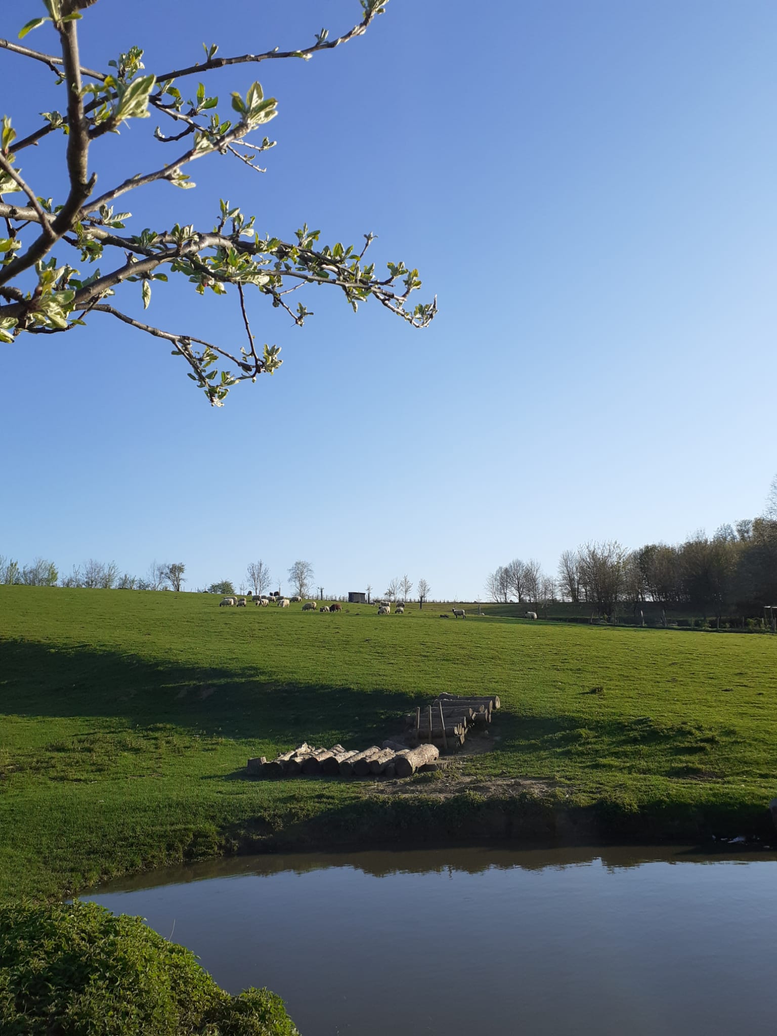 Natuurhuisje in Tielt winge