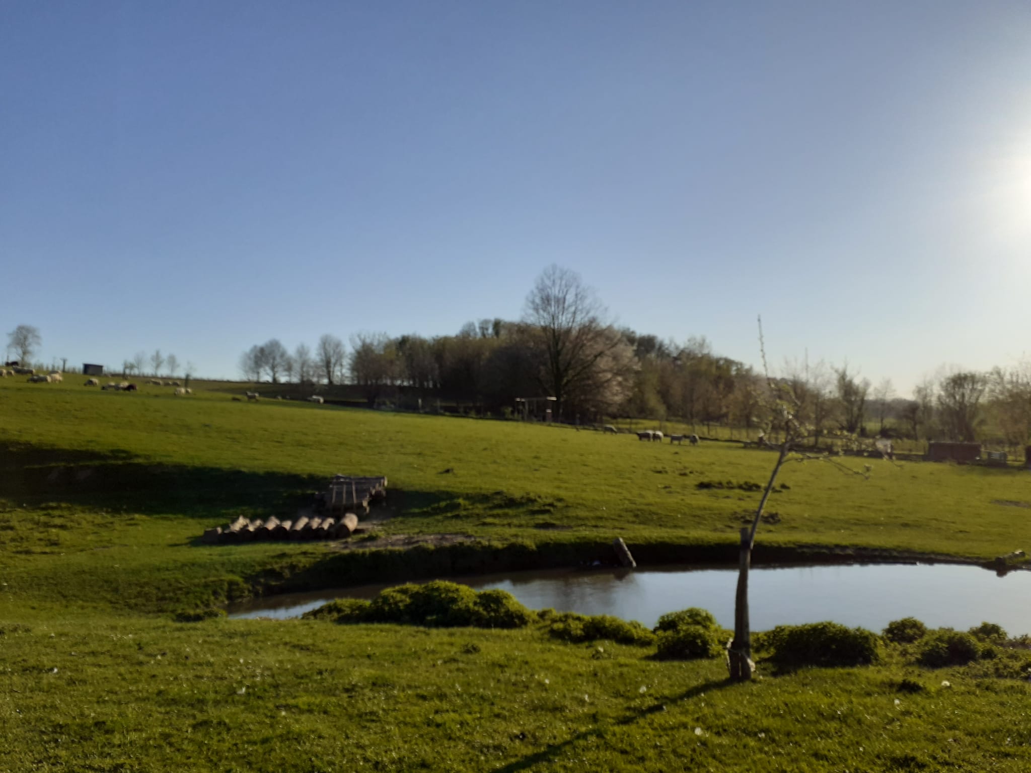 Natuurhuisje in Tielt winge