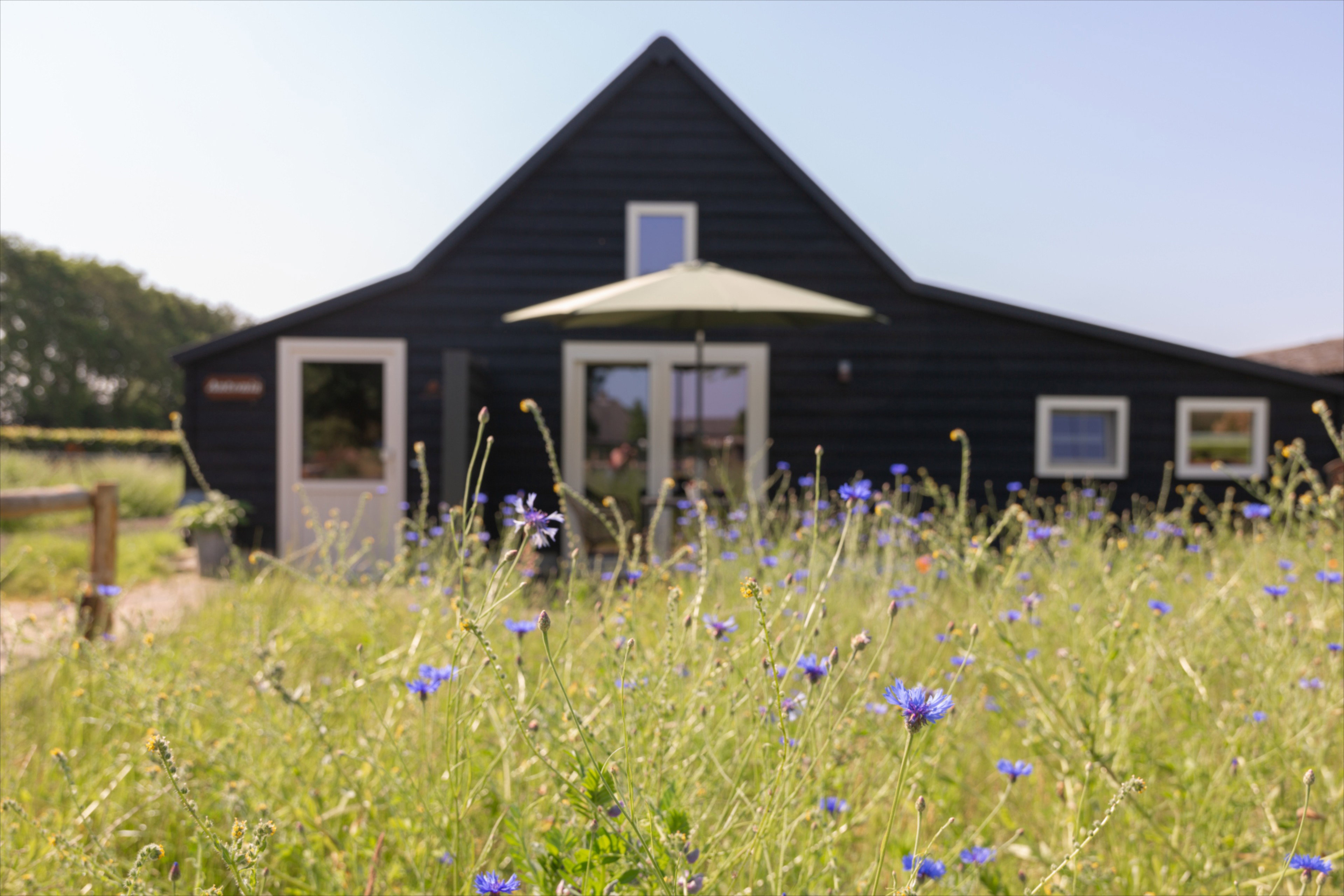 Casa nella natura a Volkel