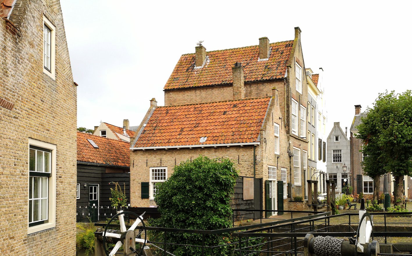 - image: 46
