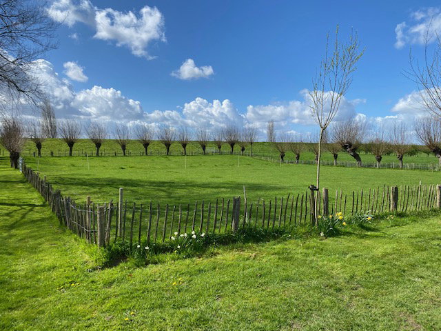 Natuurhuisje in Nederasselt