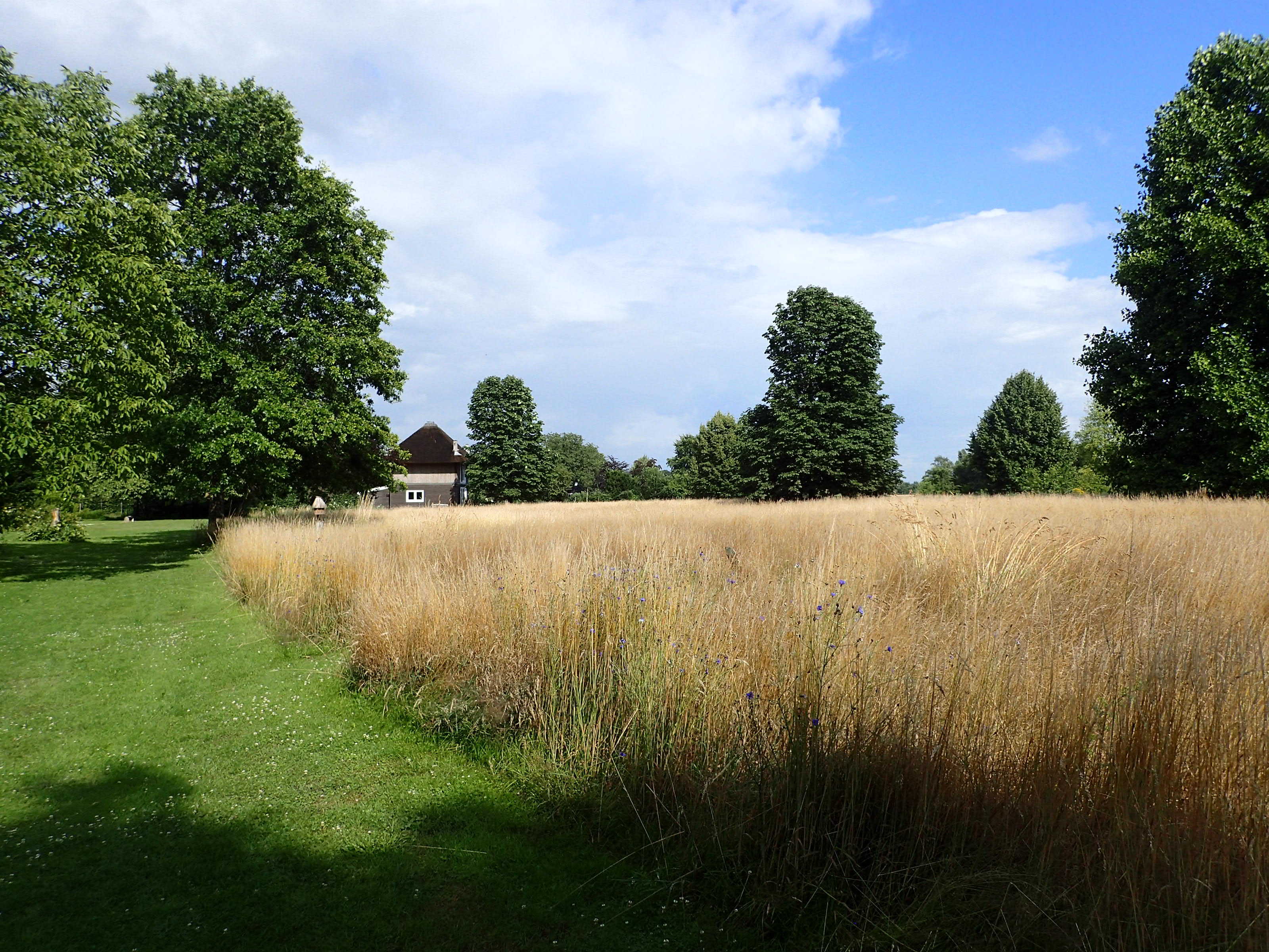 Naturhäuschen in Vorden