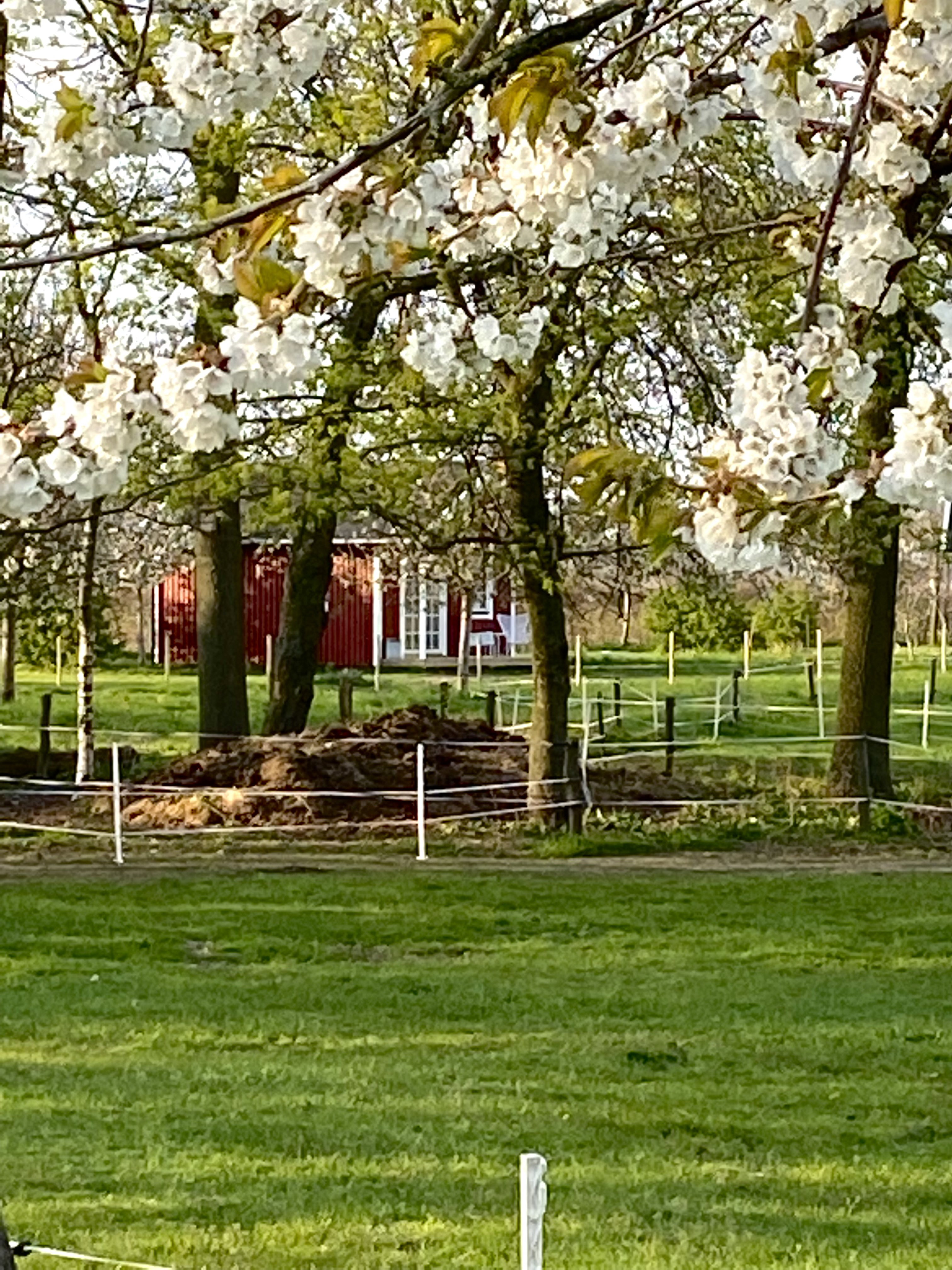Naturhäuschen in Heijen
