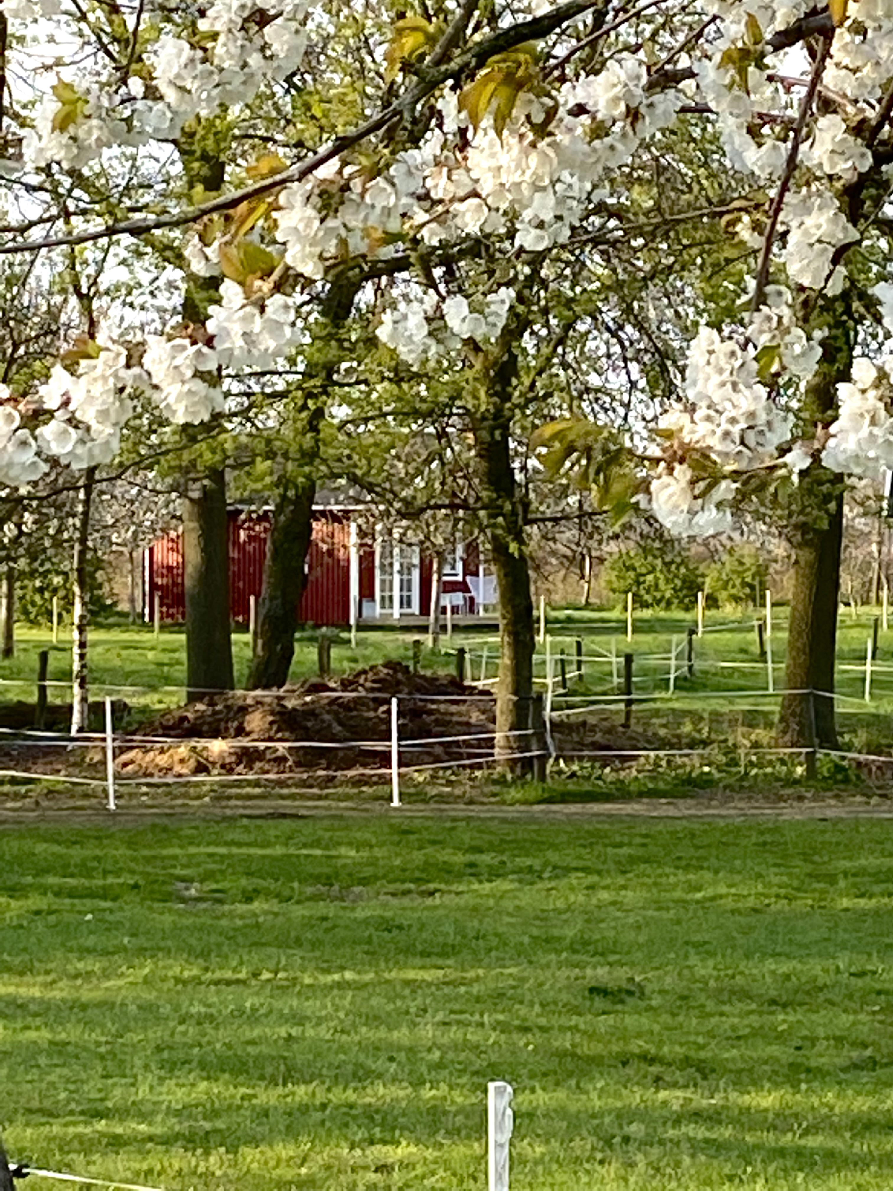 Nature house in Heijen