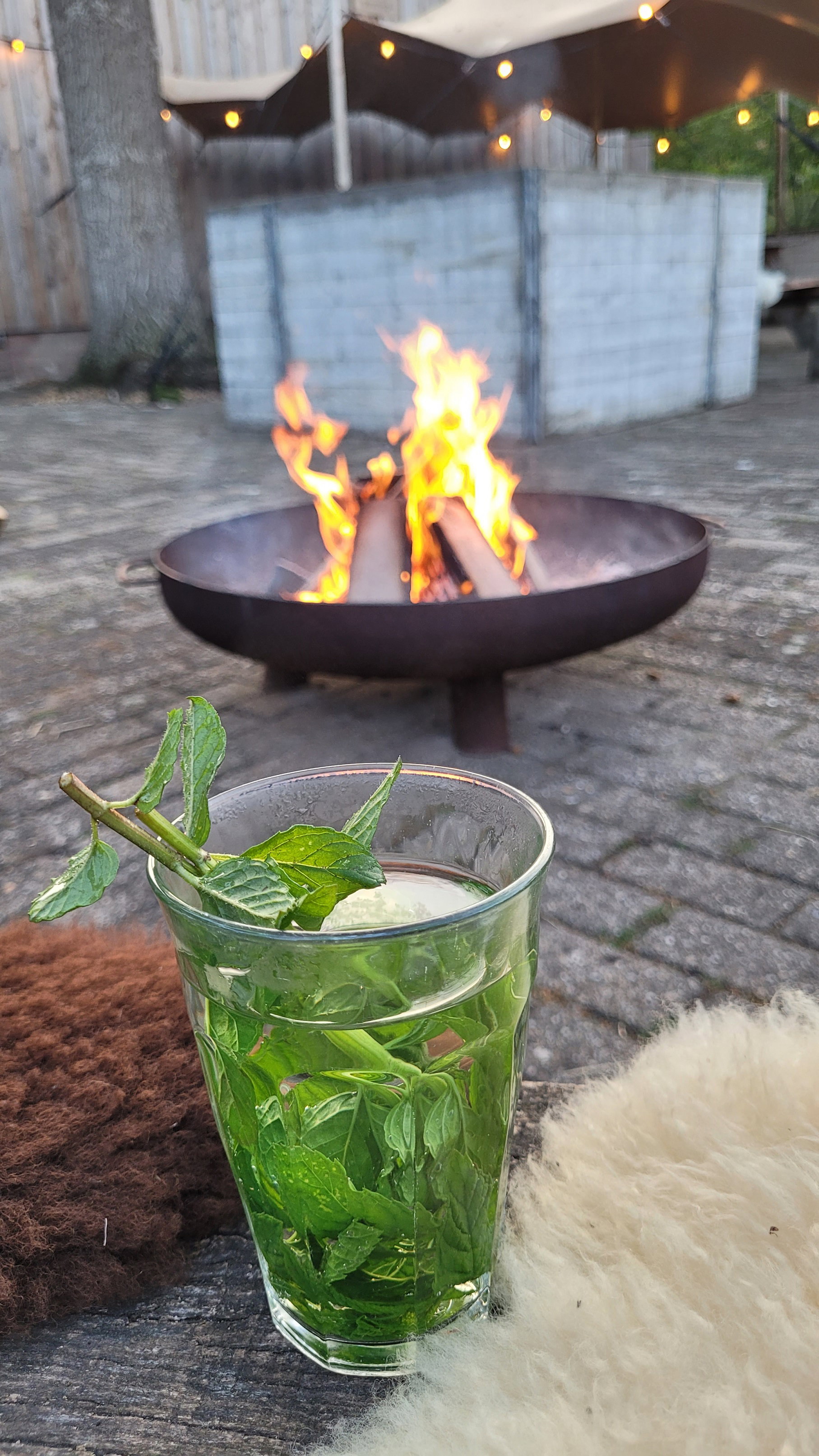Naturhäuschen in Ruurlo