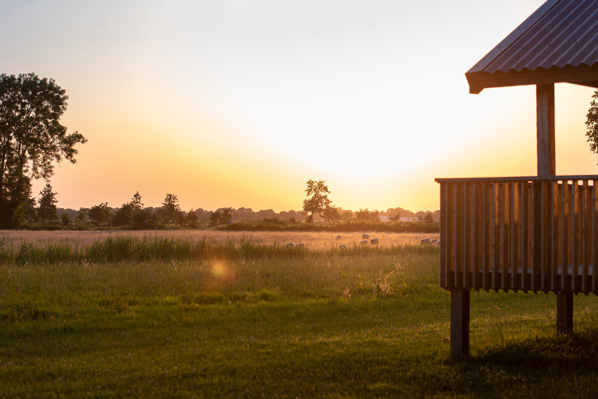 Natuurhuisje in Ruinerwold