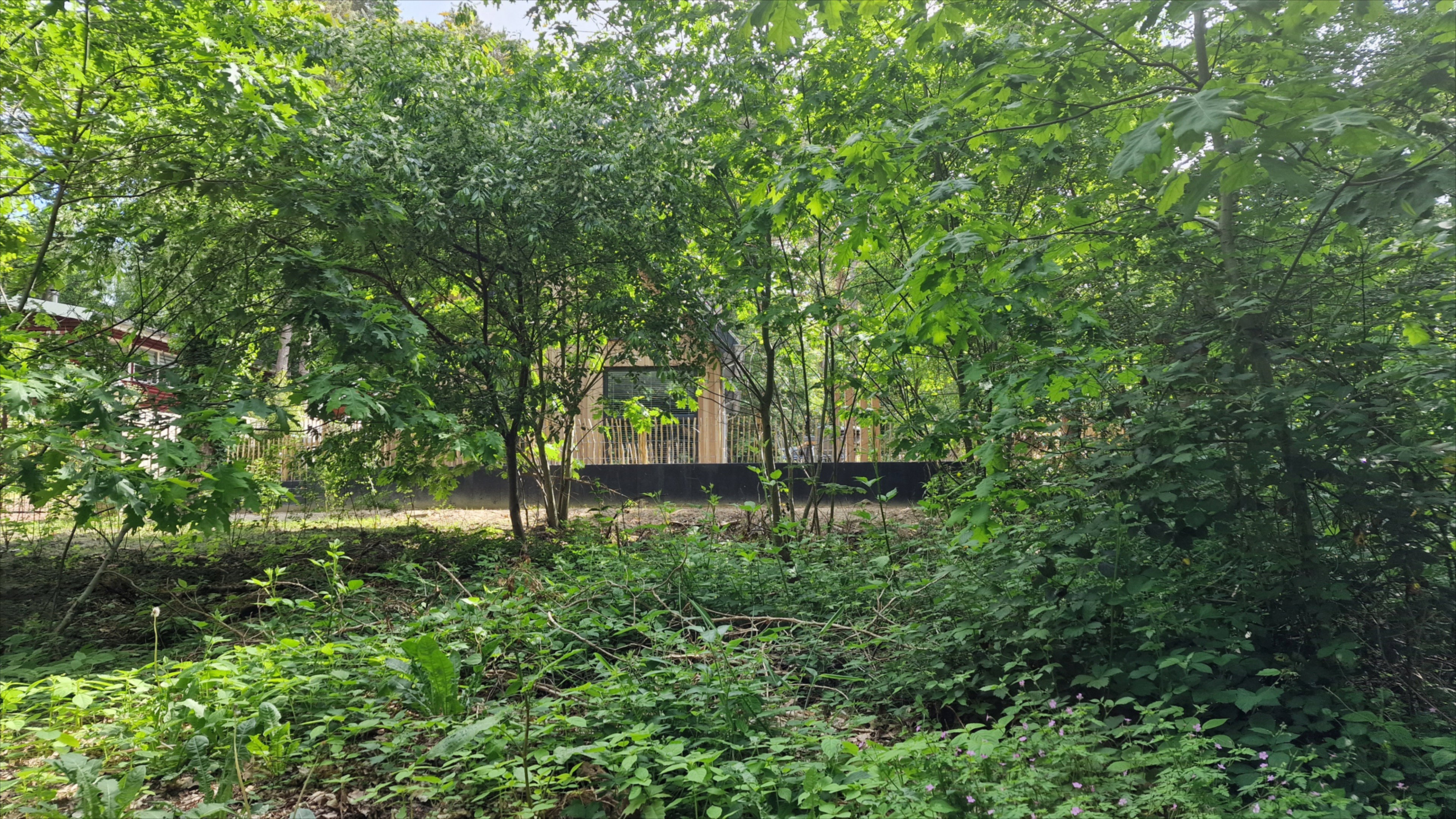 Natuurhuisje in Appelscha