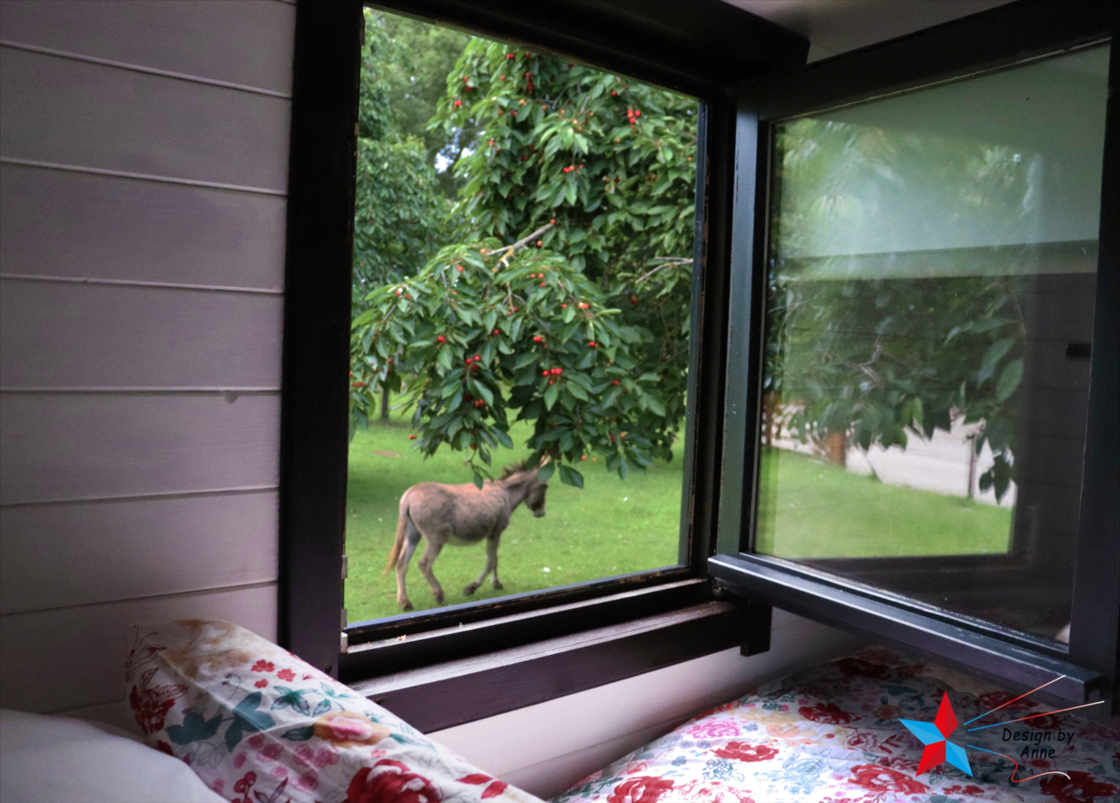 Casa nella natura a Opheusden