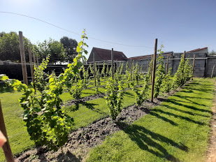 Natuurhuisje in Merkem