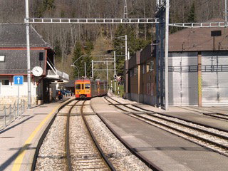 - image: 14