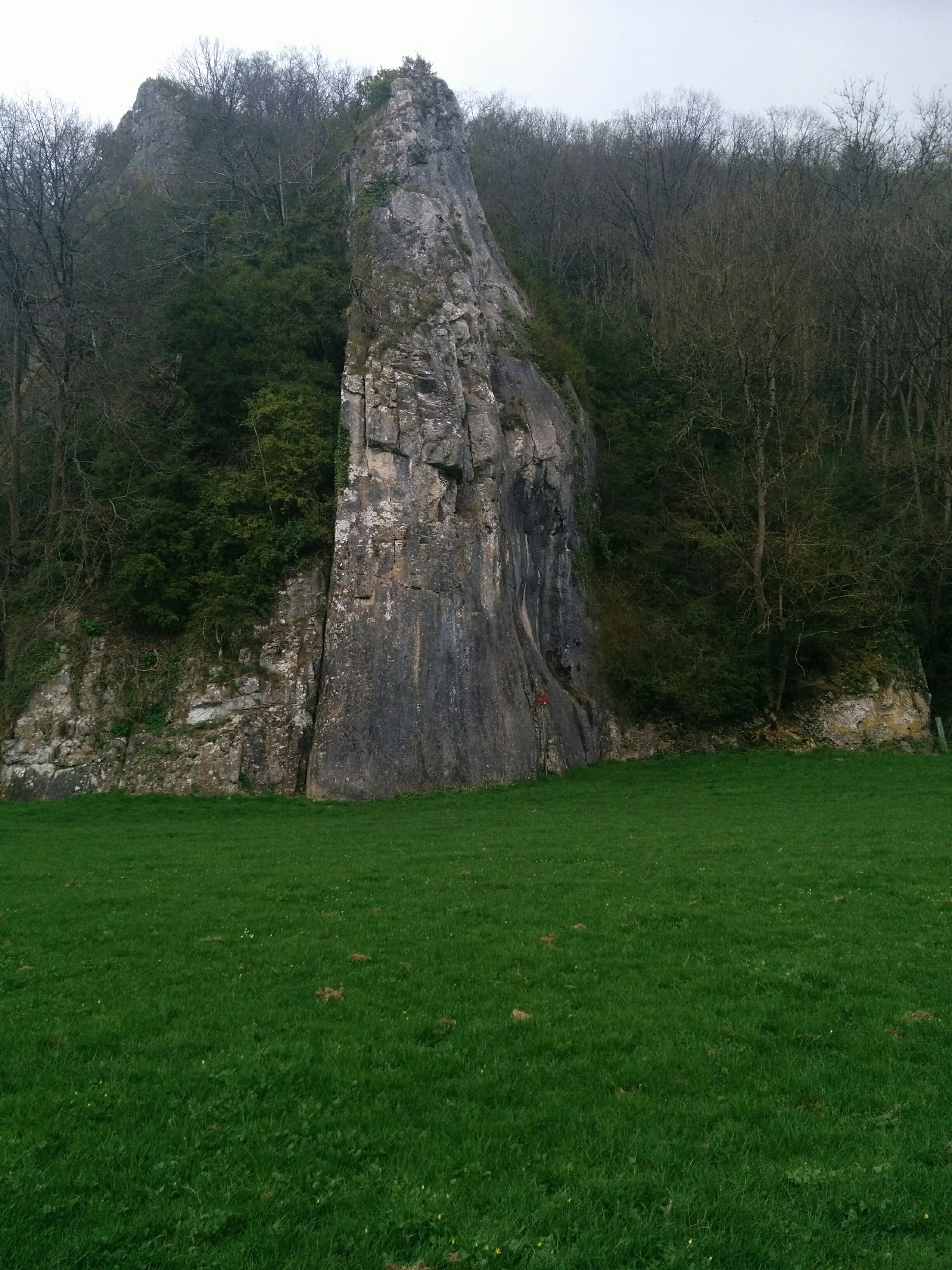 - image: 26