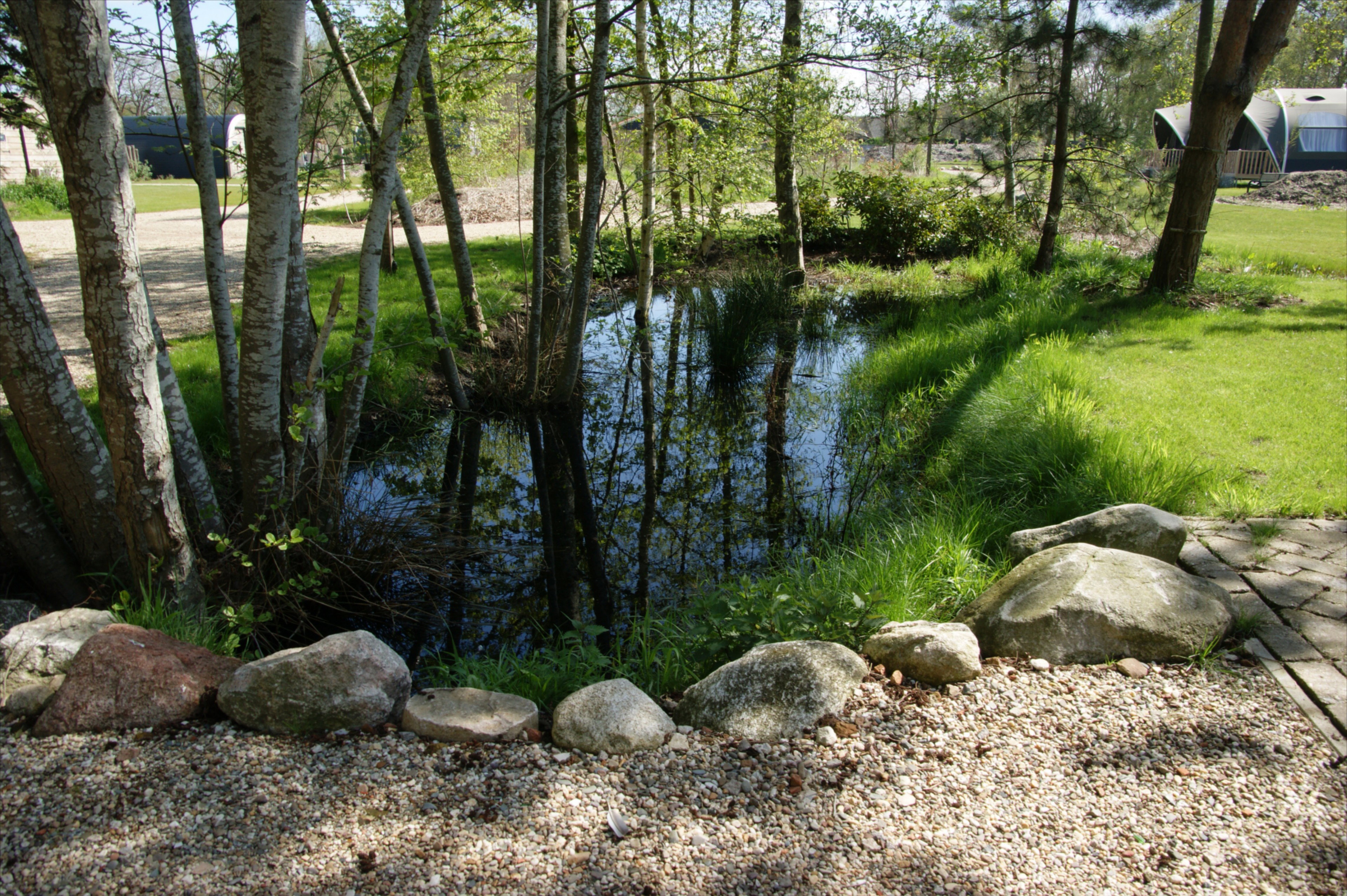 - image: 13