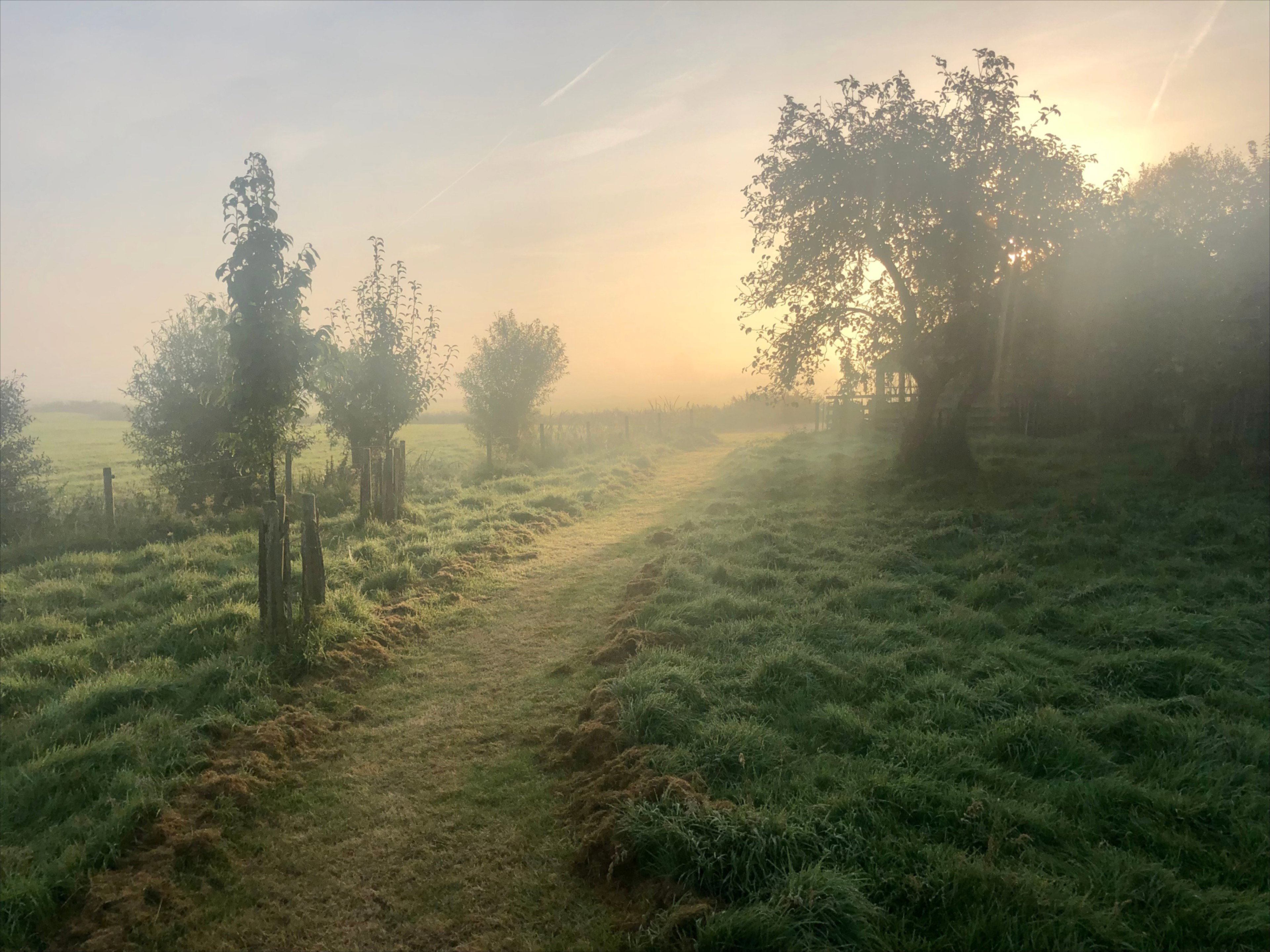 Natuurhuisje in Ryptsjerk