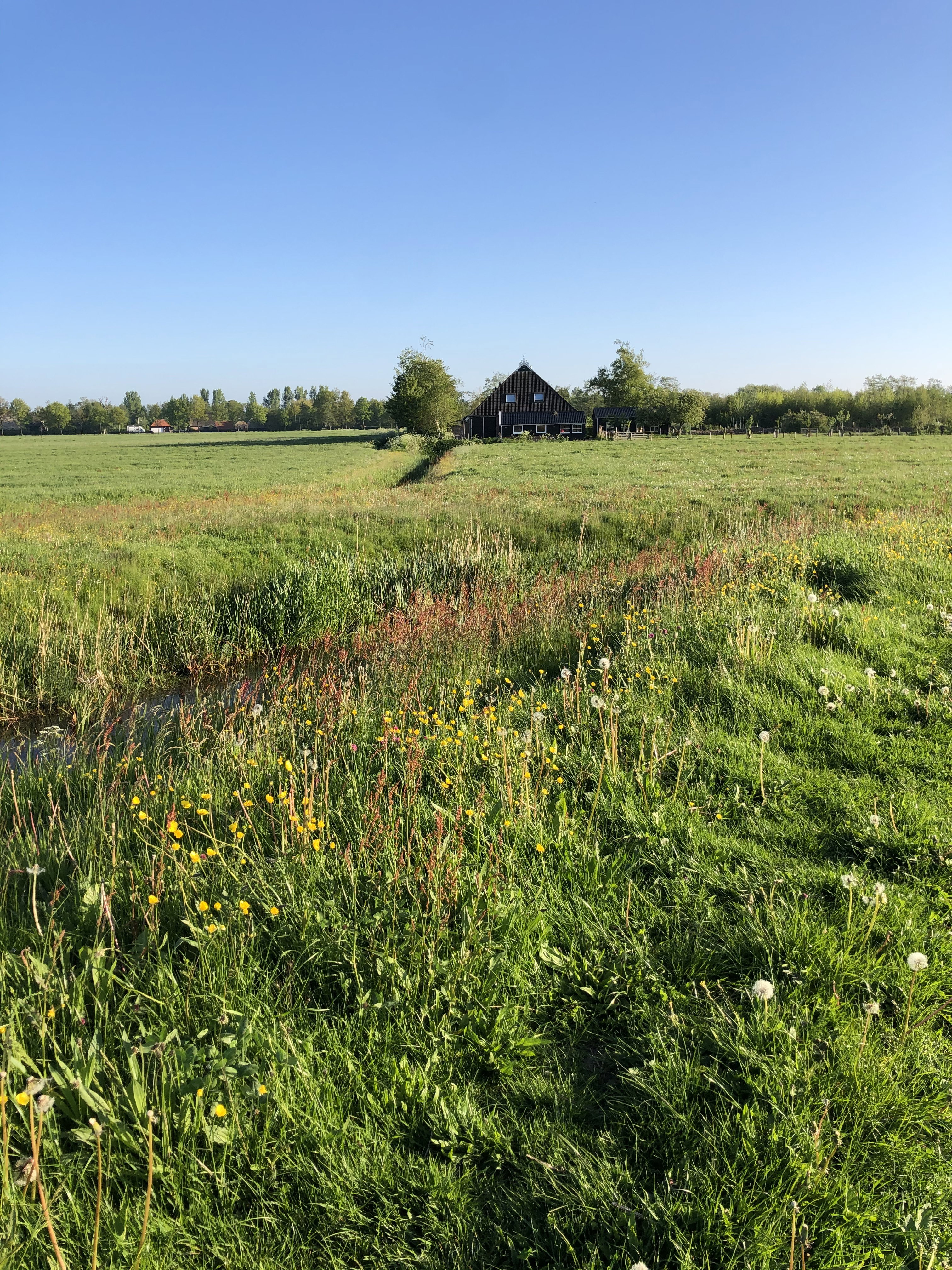 Natuurhuisje in Ryptsjerk