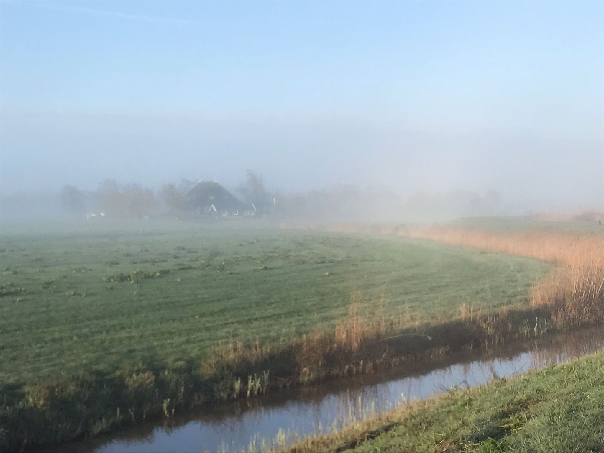 Natuurhuisje in Ryptsjerk