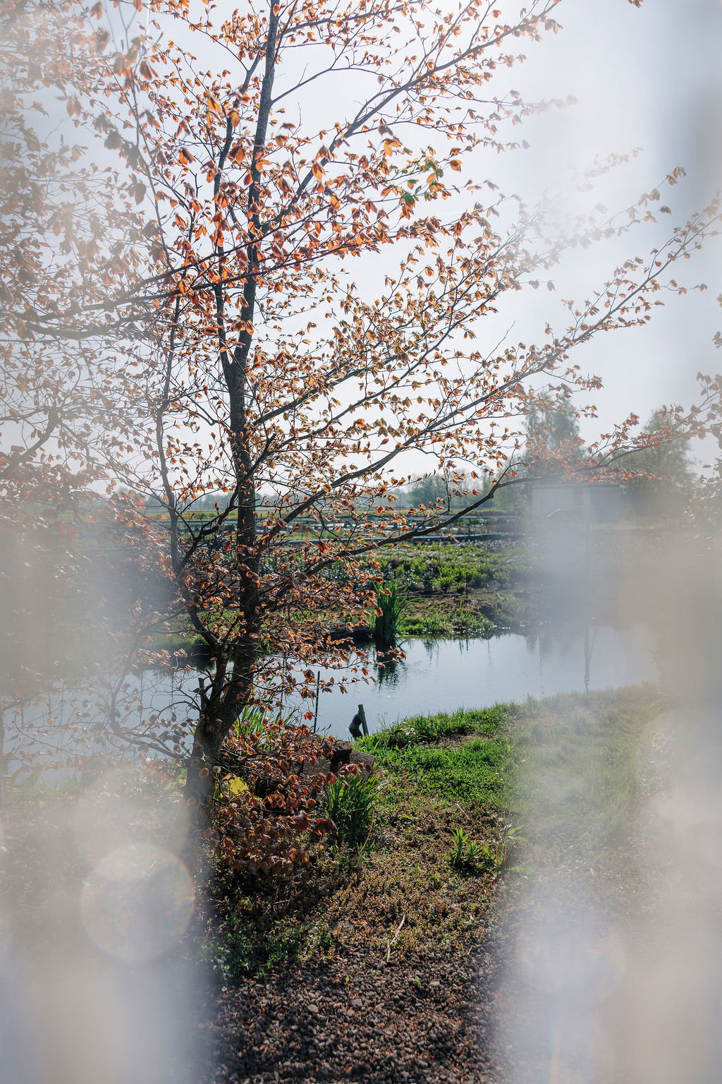 Natuurhuisje in Hazerswoude-Dorp