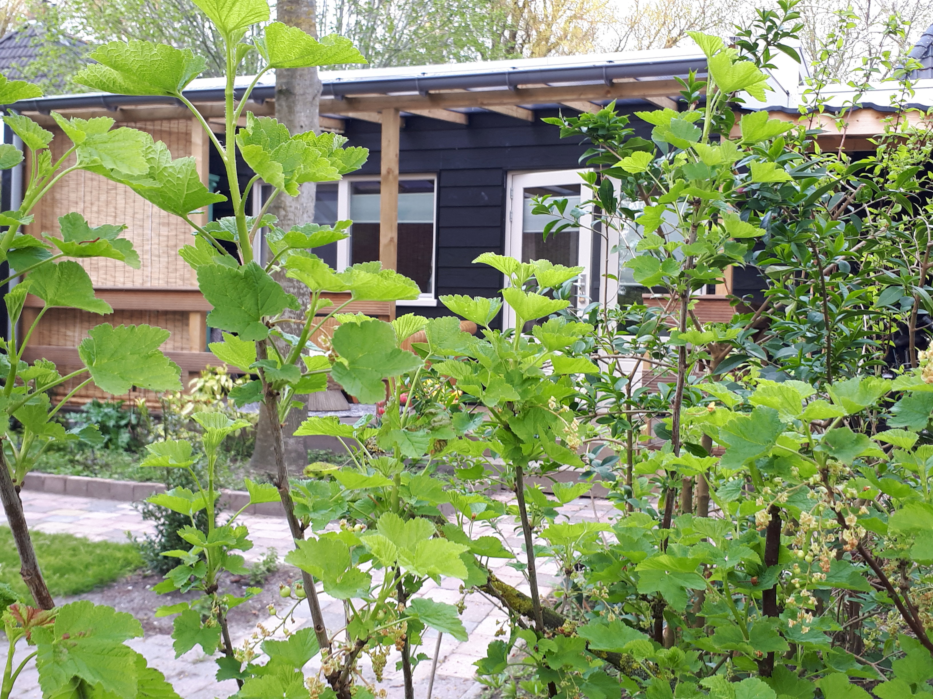 Natuurhuisje in Andijk