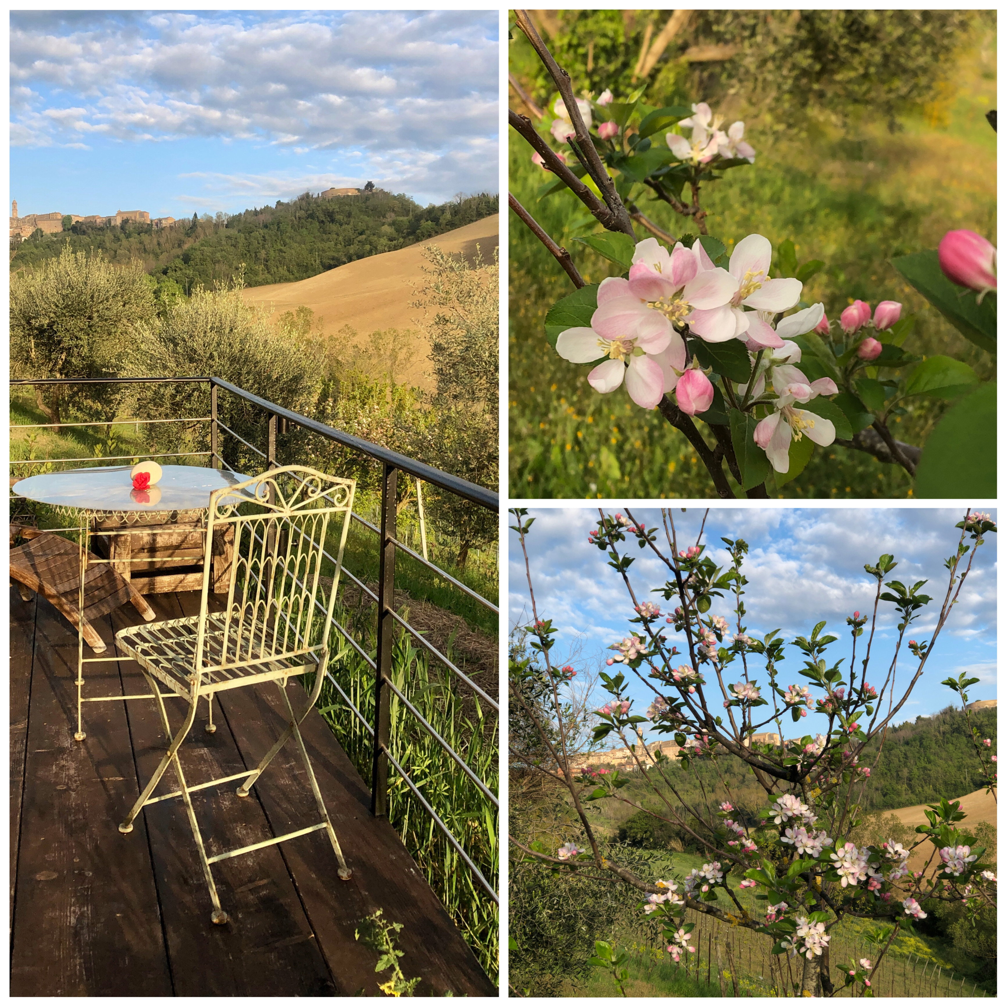 Casa nella natura a Petritoli