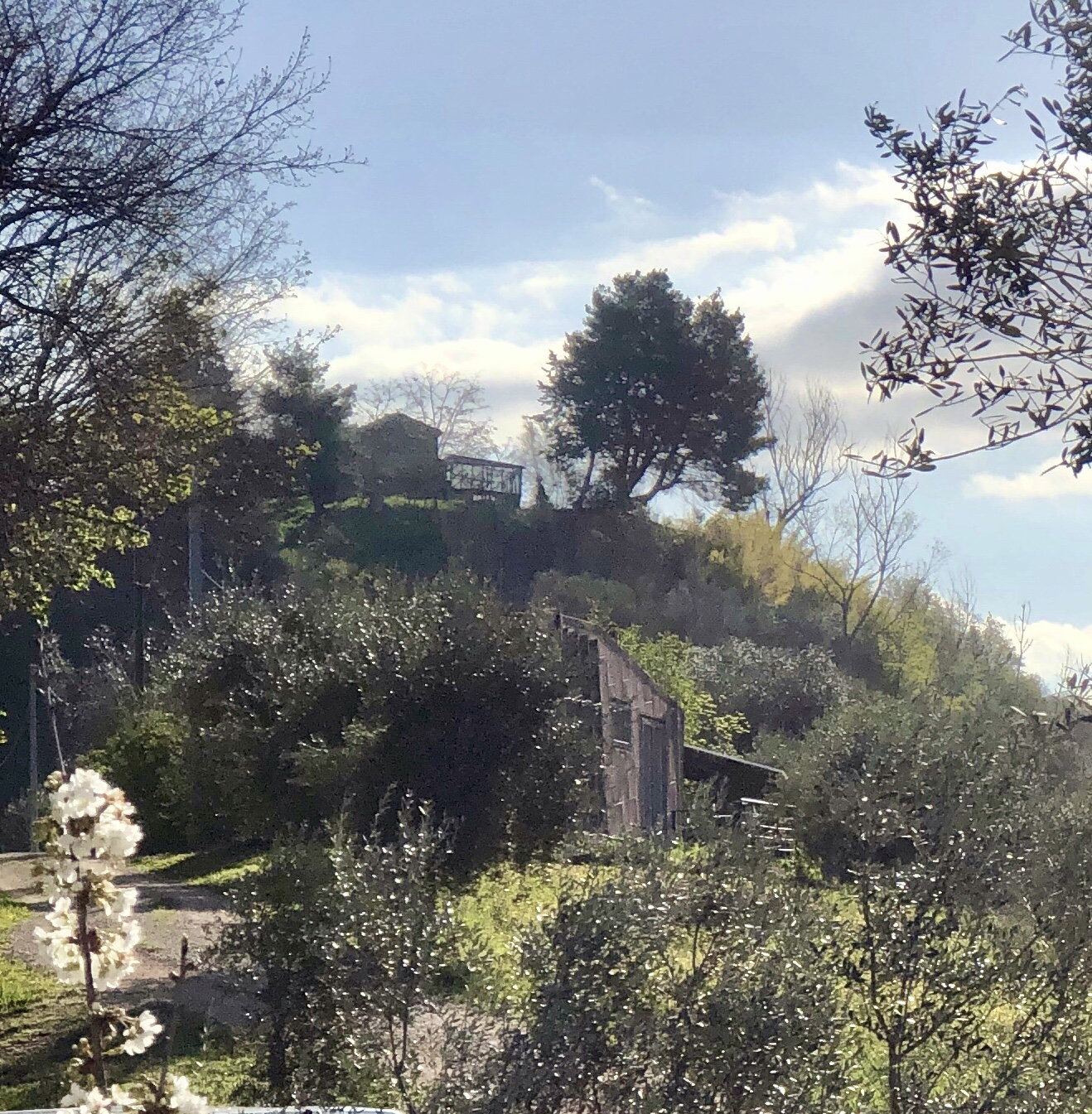 Casa nella natura a Petritoli
