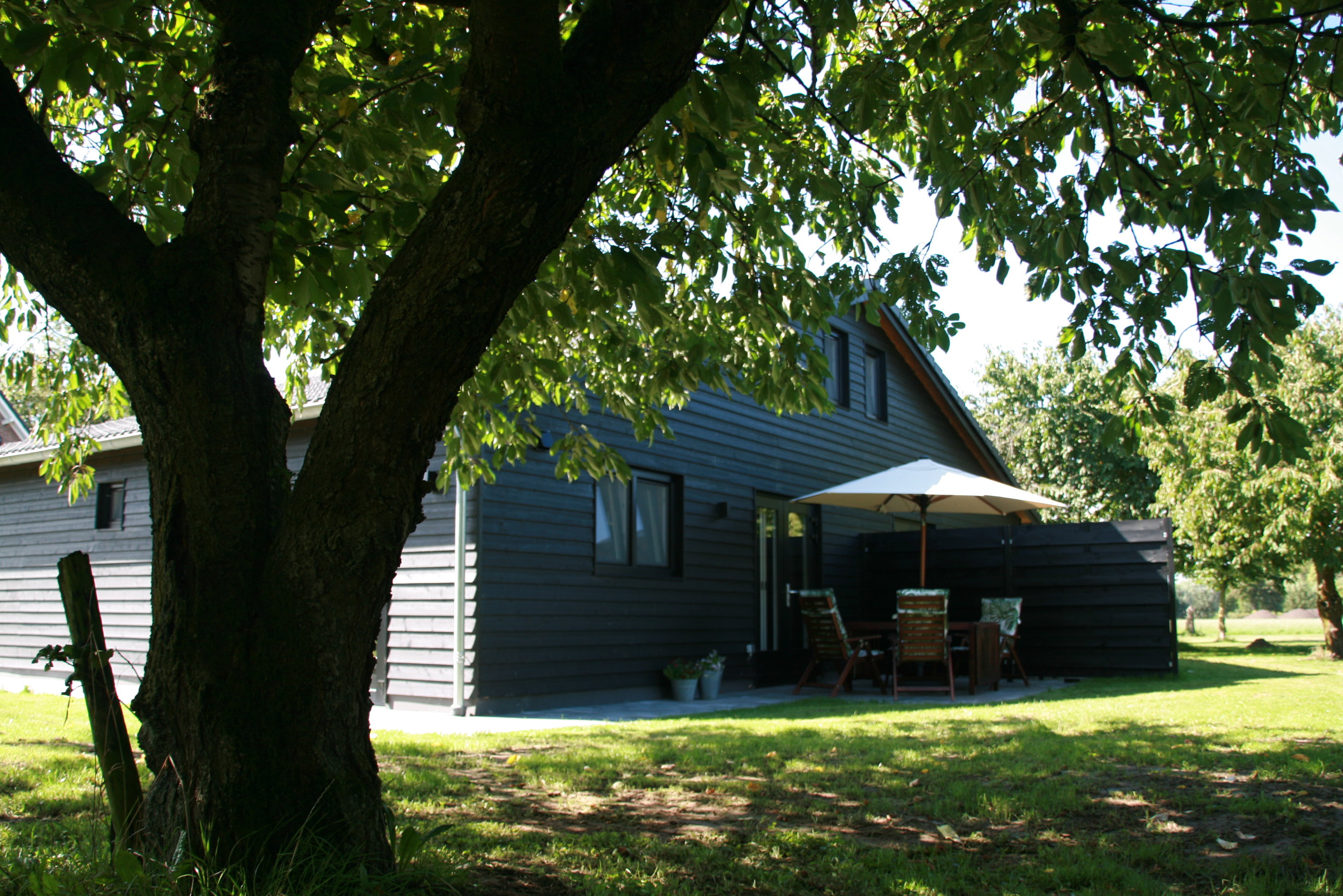 - image: 1