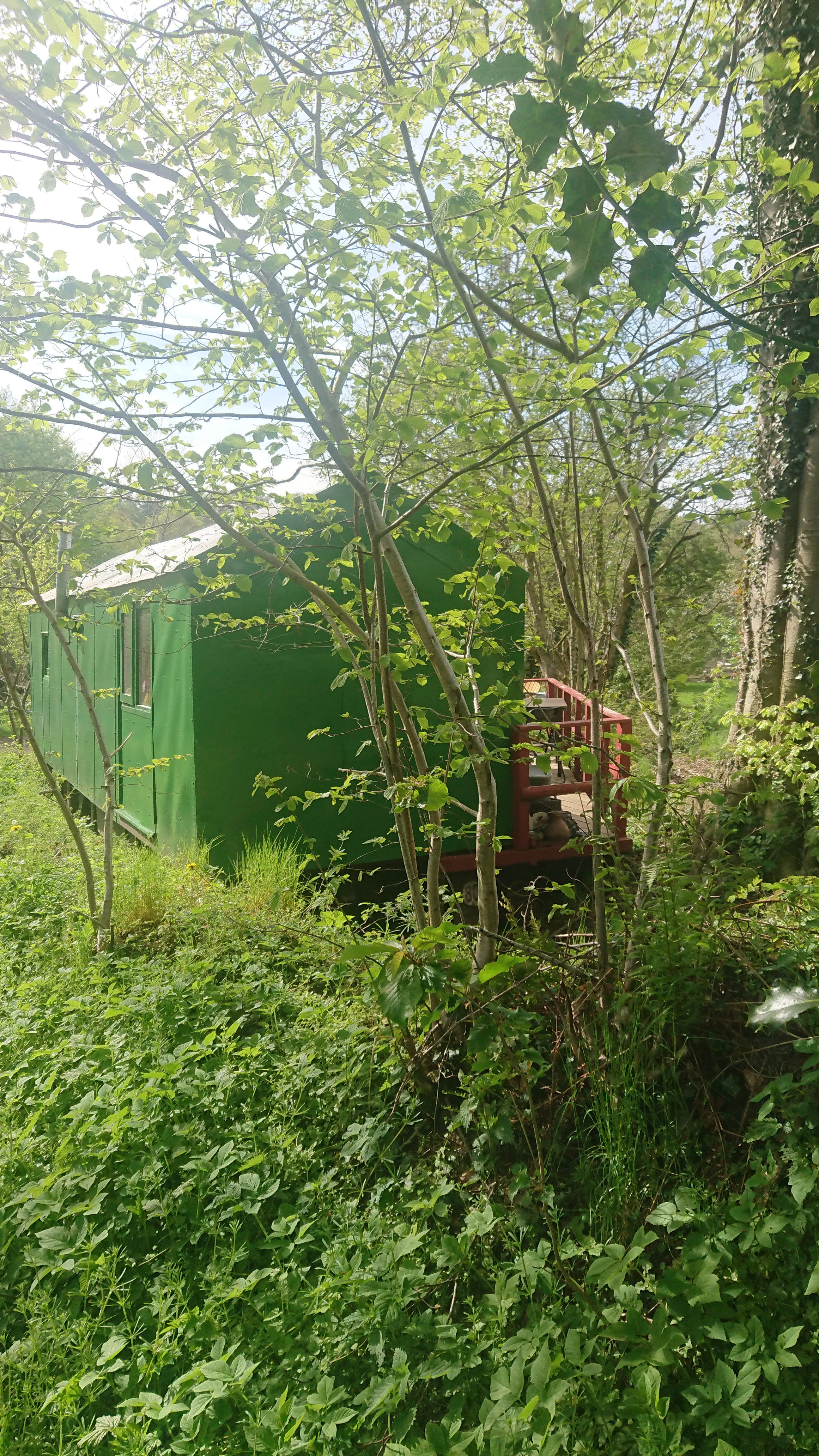 Natuurhuisje in Ascheffel