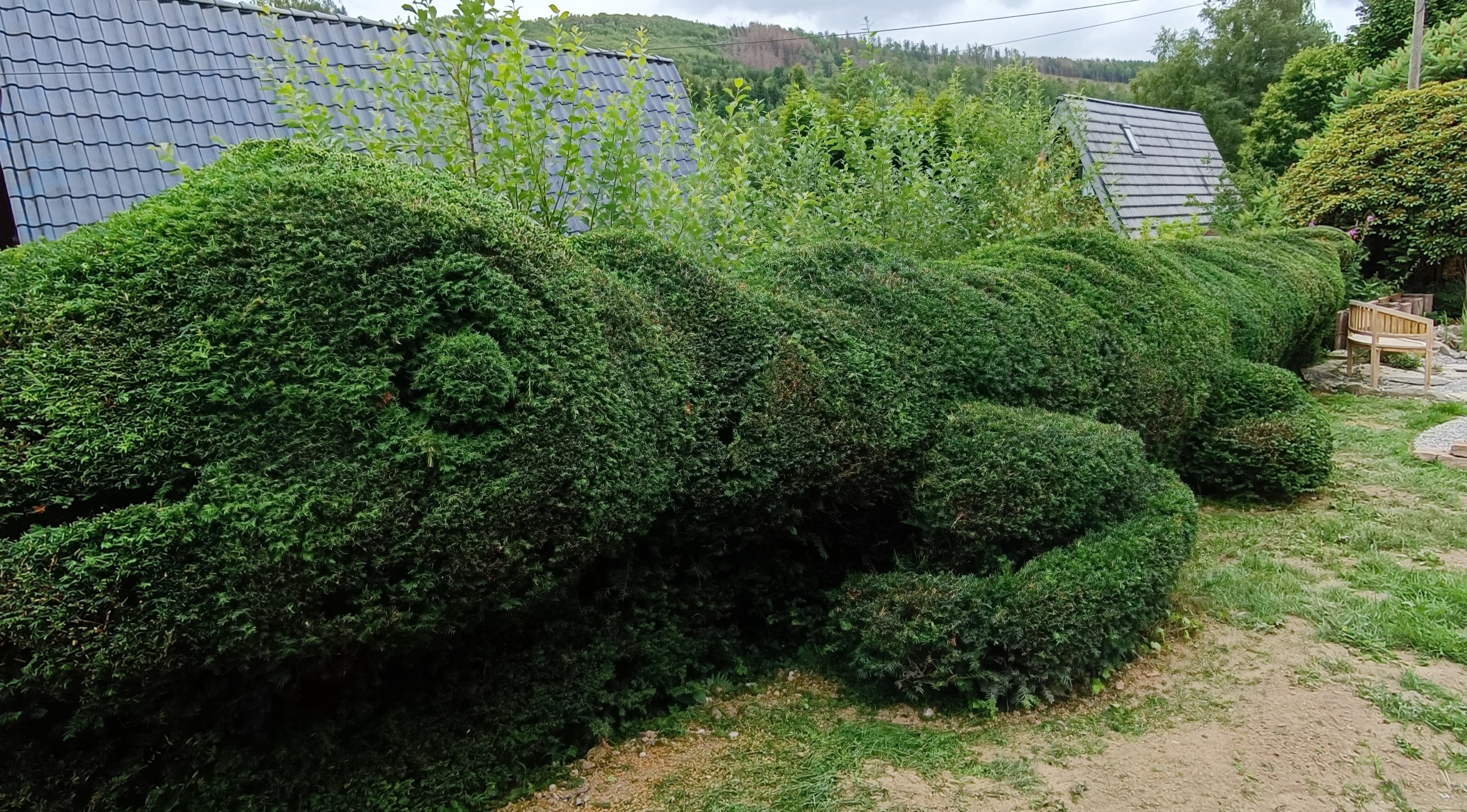 Naturhäuschen in Meschede/ Frenkhausen
