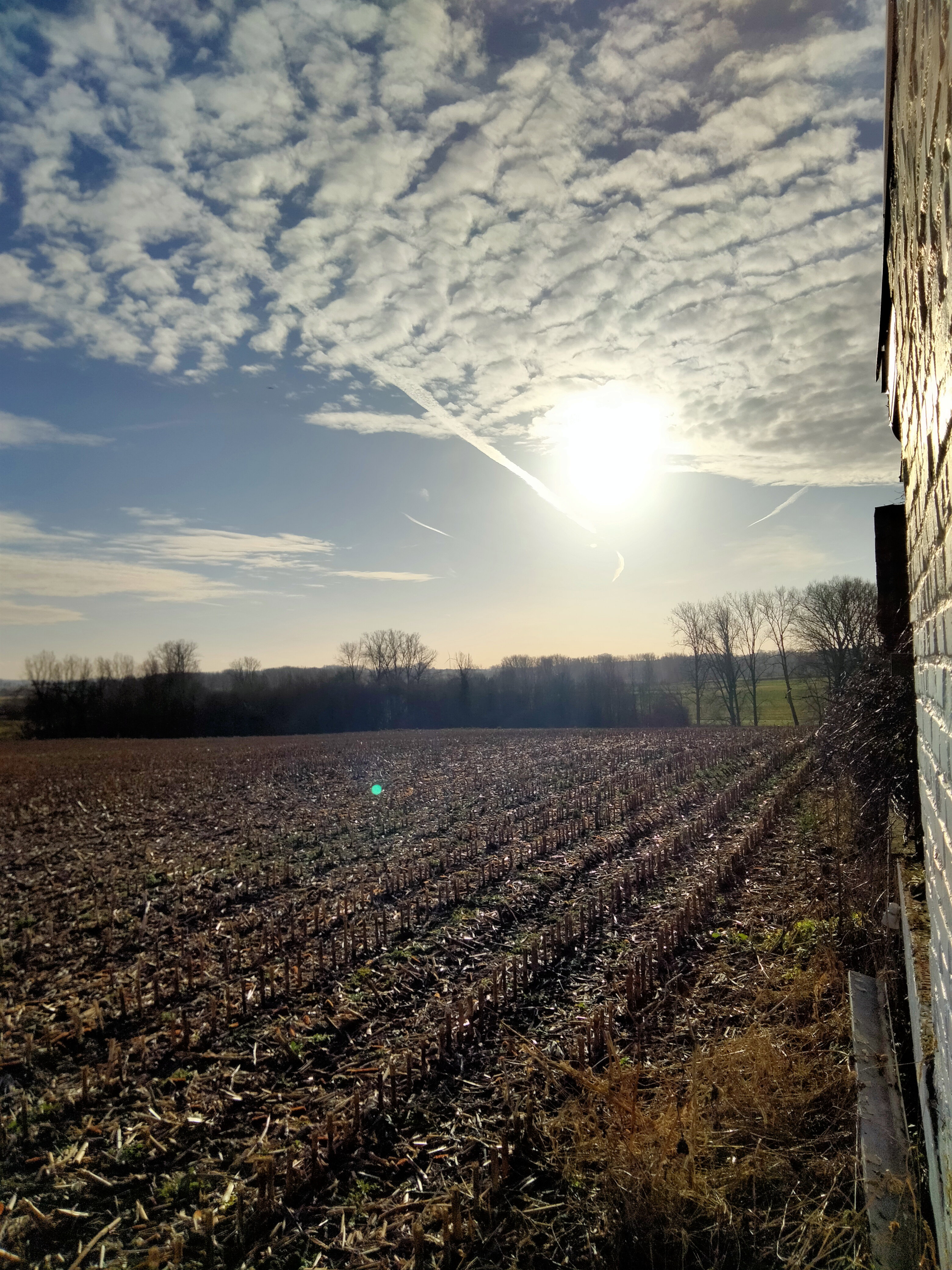 Nature house in Sint Lievens Esse