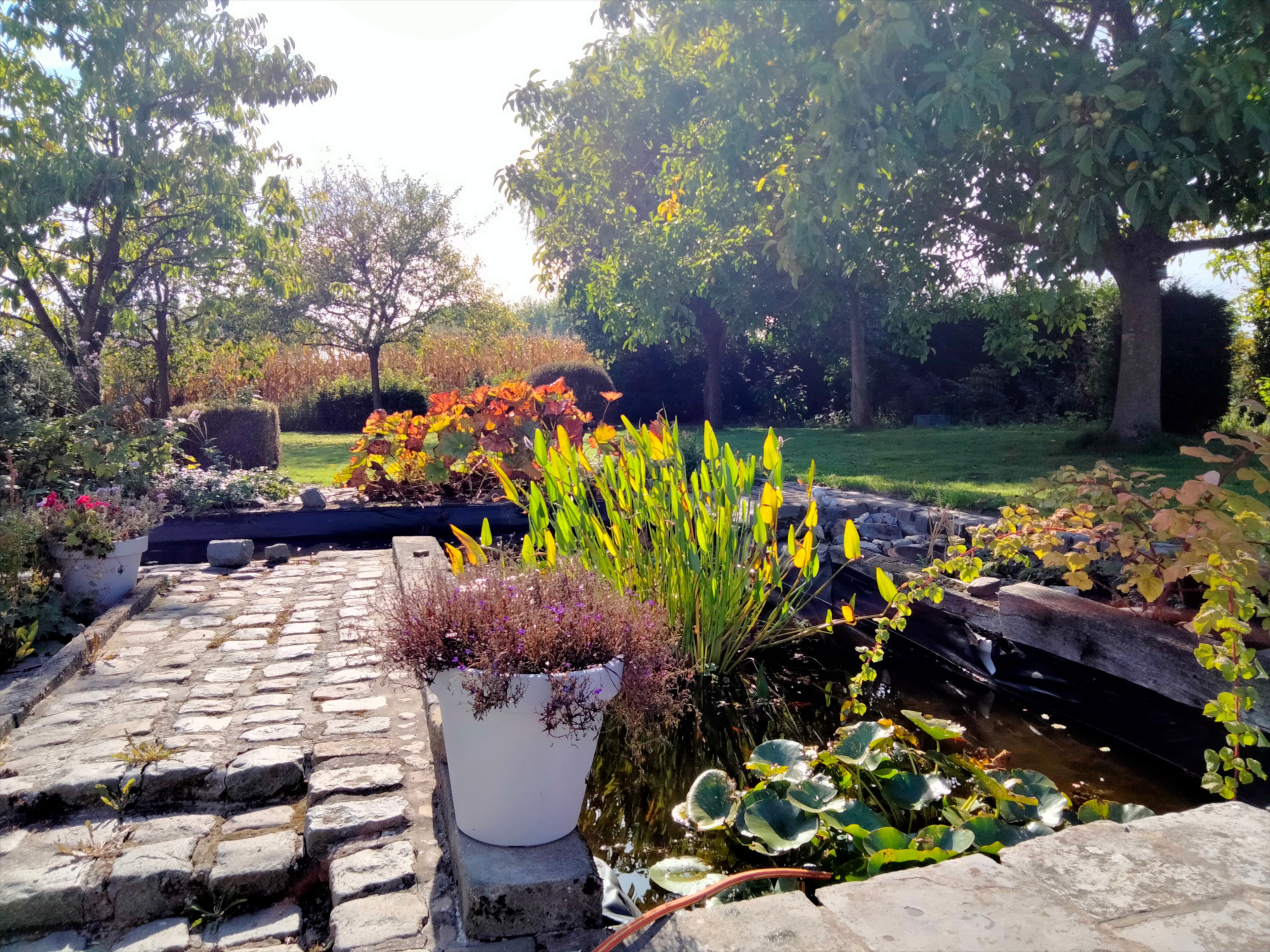 Nature house in Sint Lievens Esse