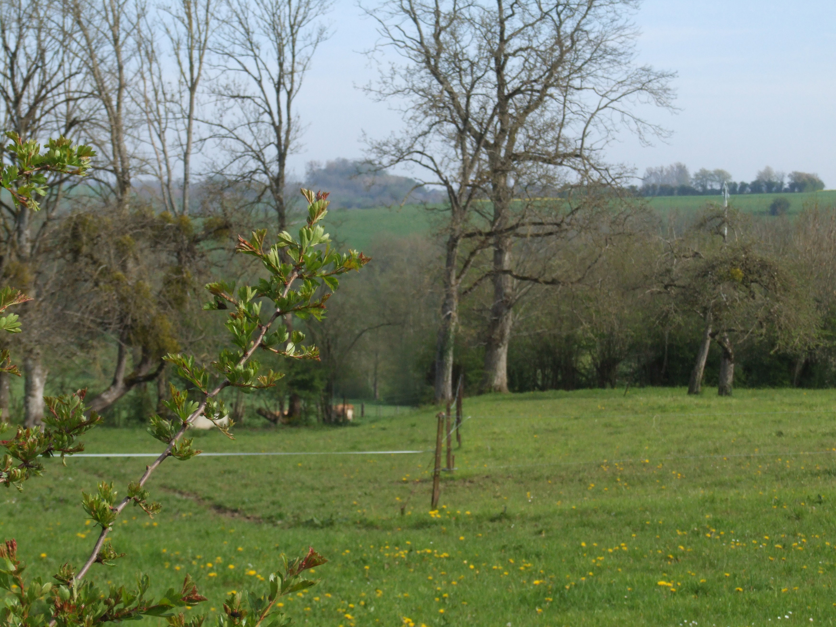 - image: 13
