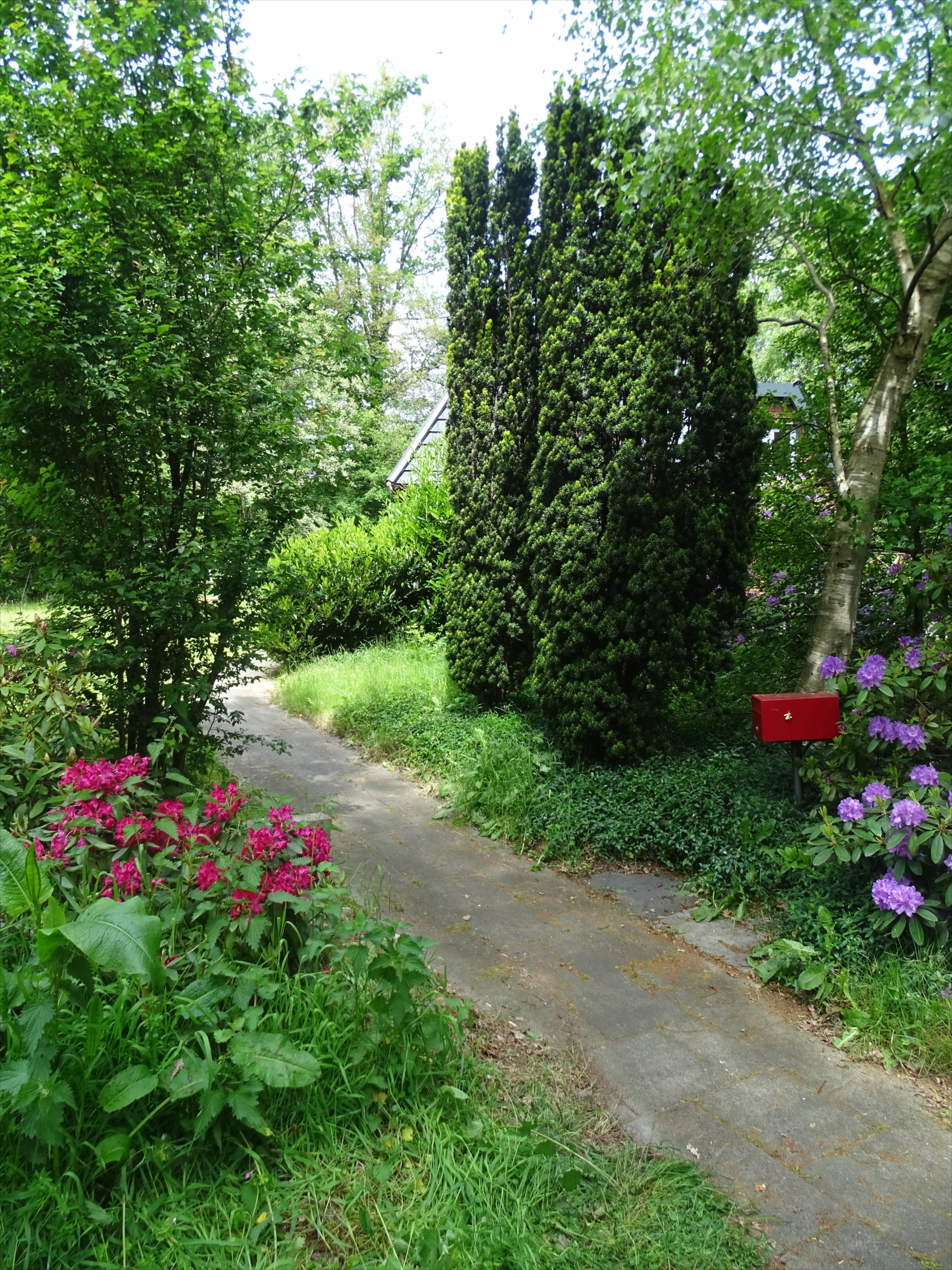 Naturhäuschen in Ruinen