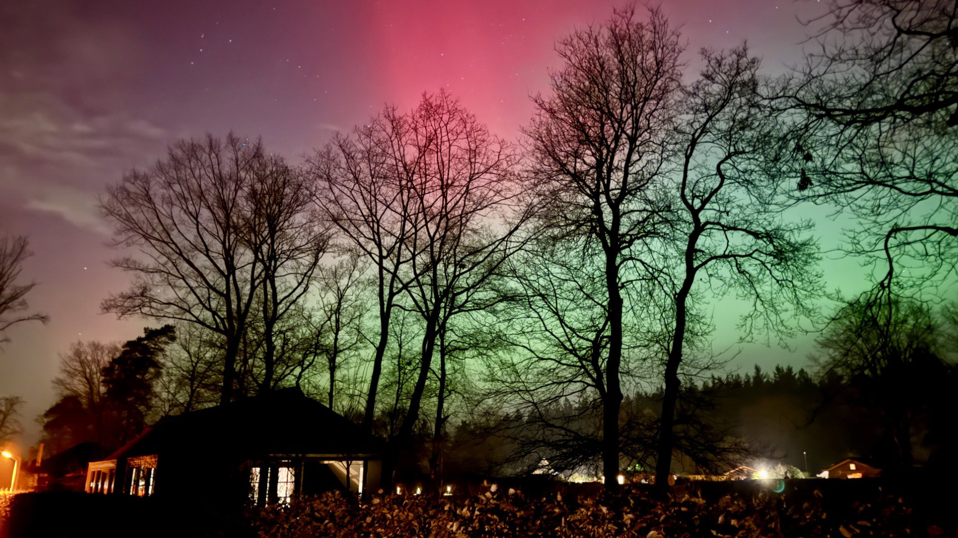 Casa nella natura a Putten