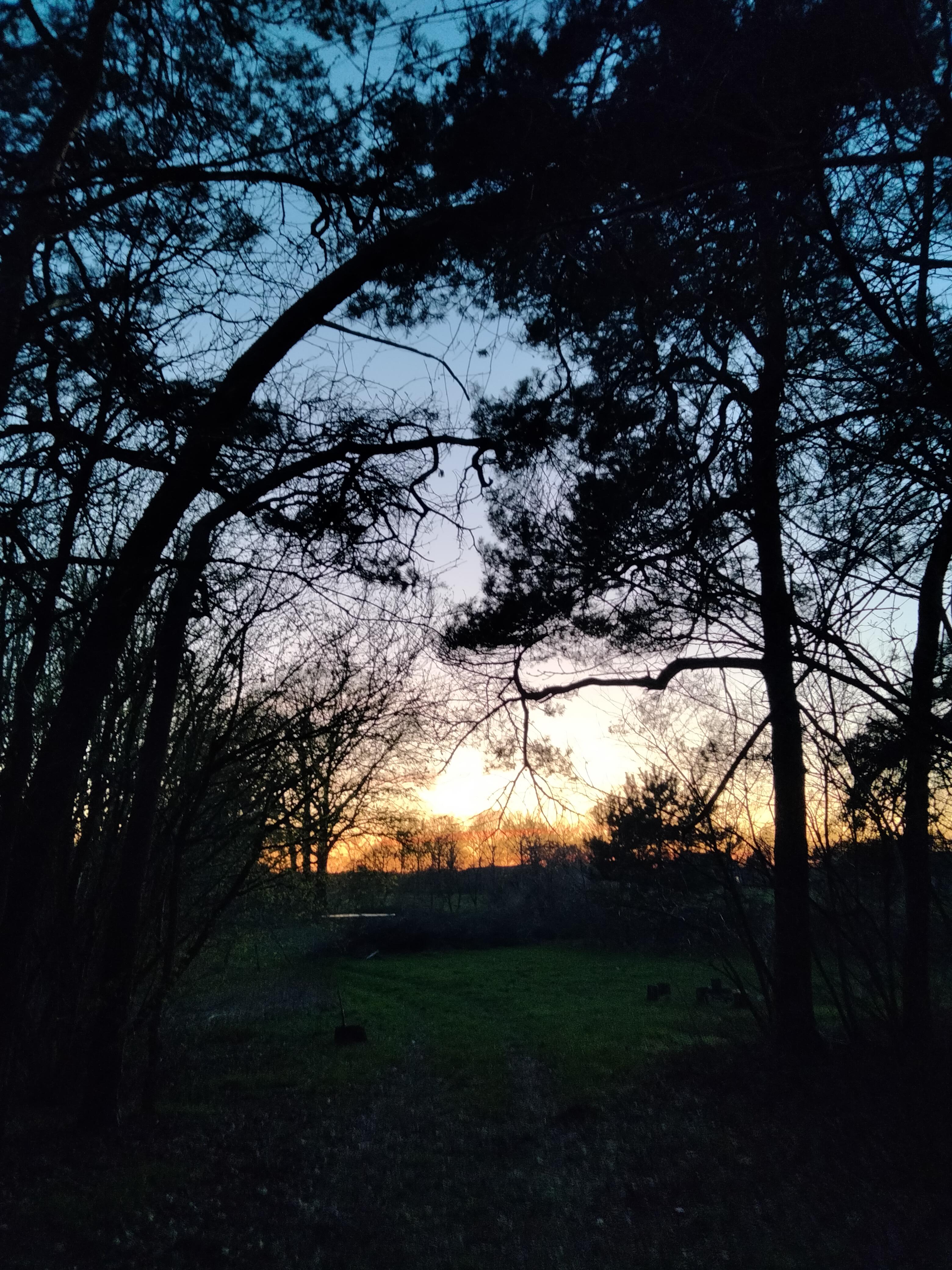 Natuurhuisje in Sint-Oedenrode