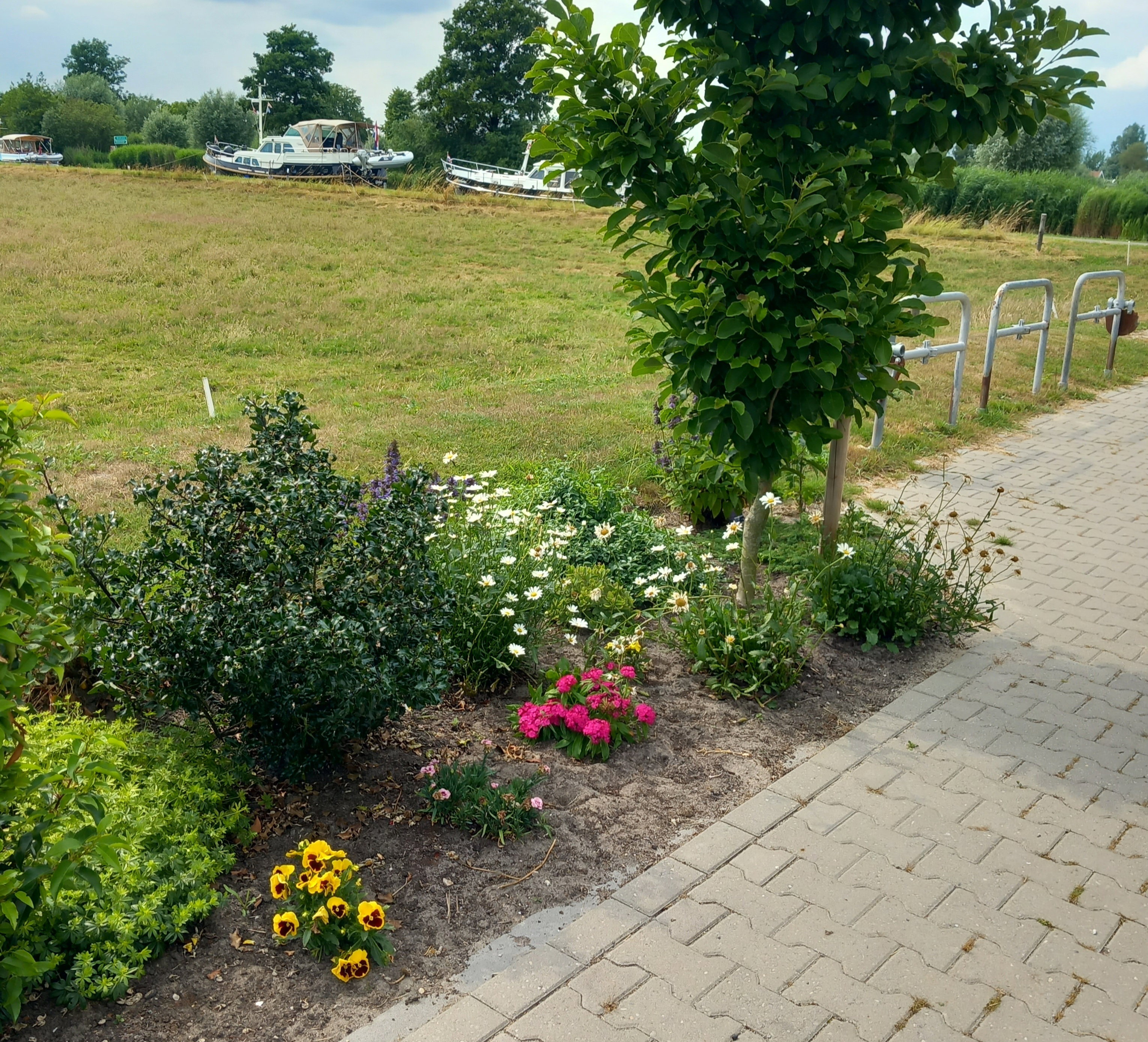 - image: 13