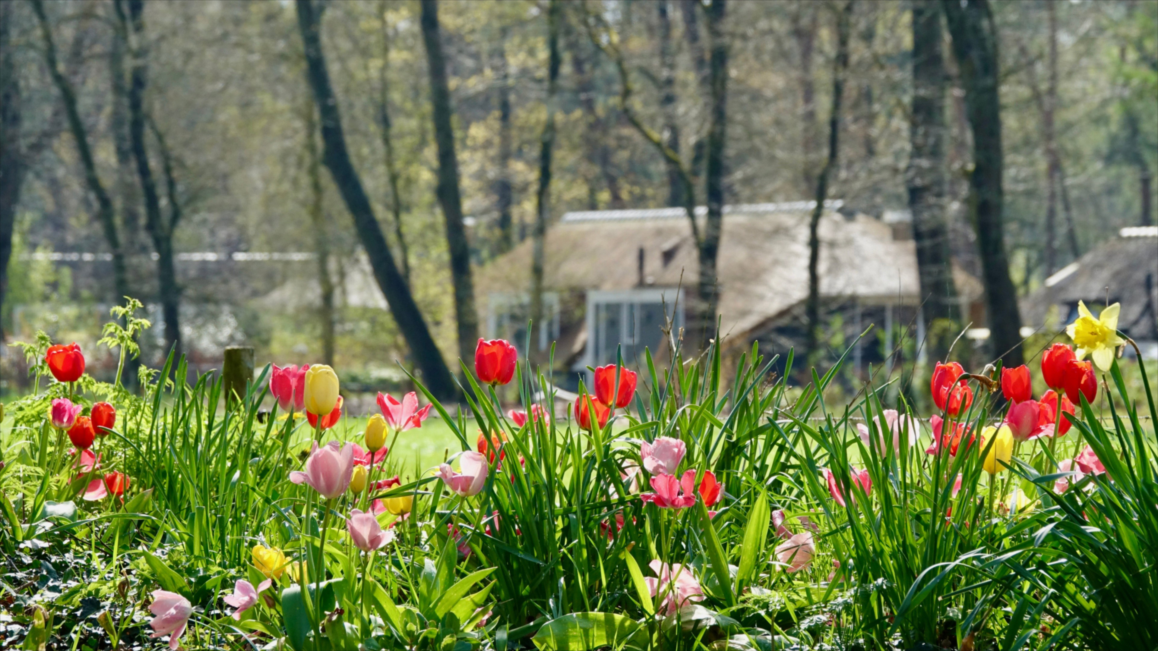 Casa nella natura a Putten