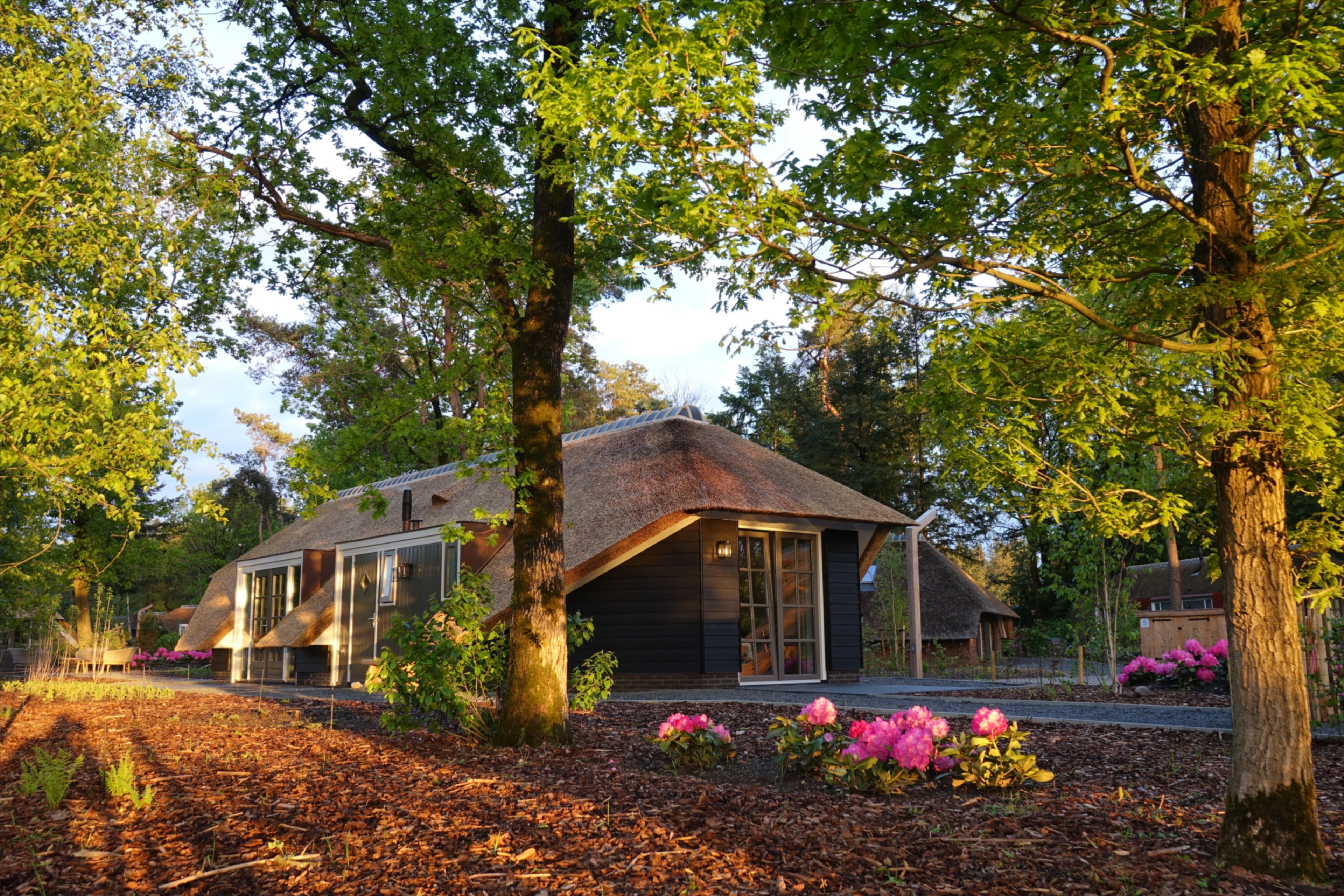 Casa nella natura a Putten