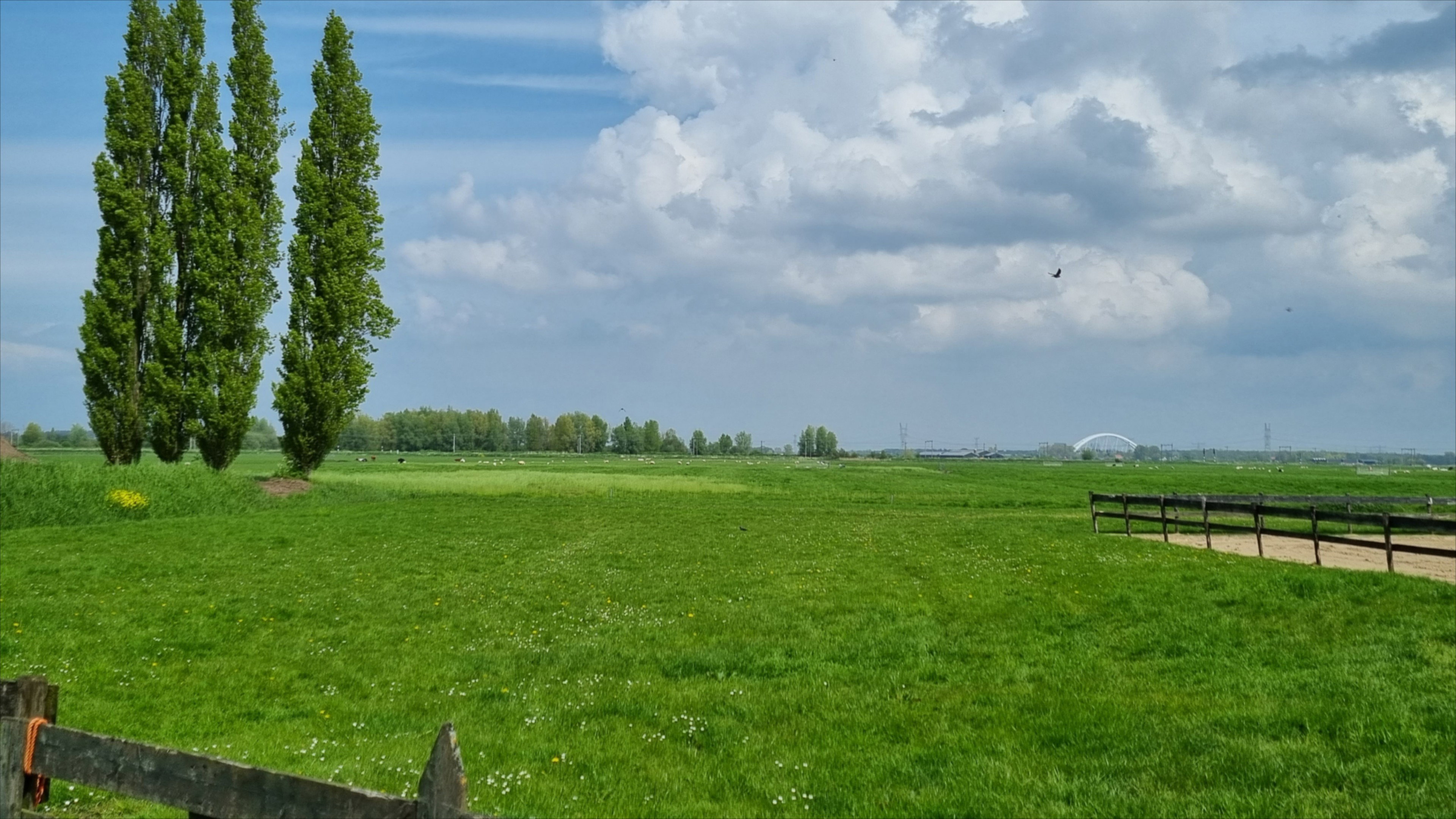 - image: 27
