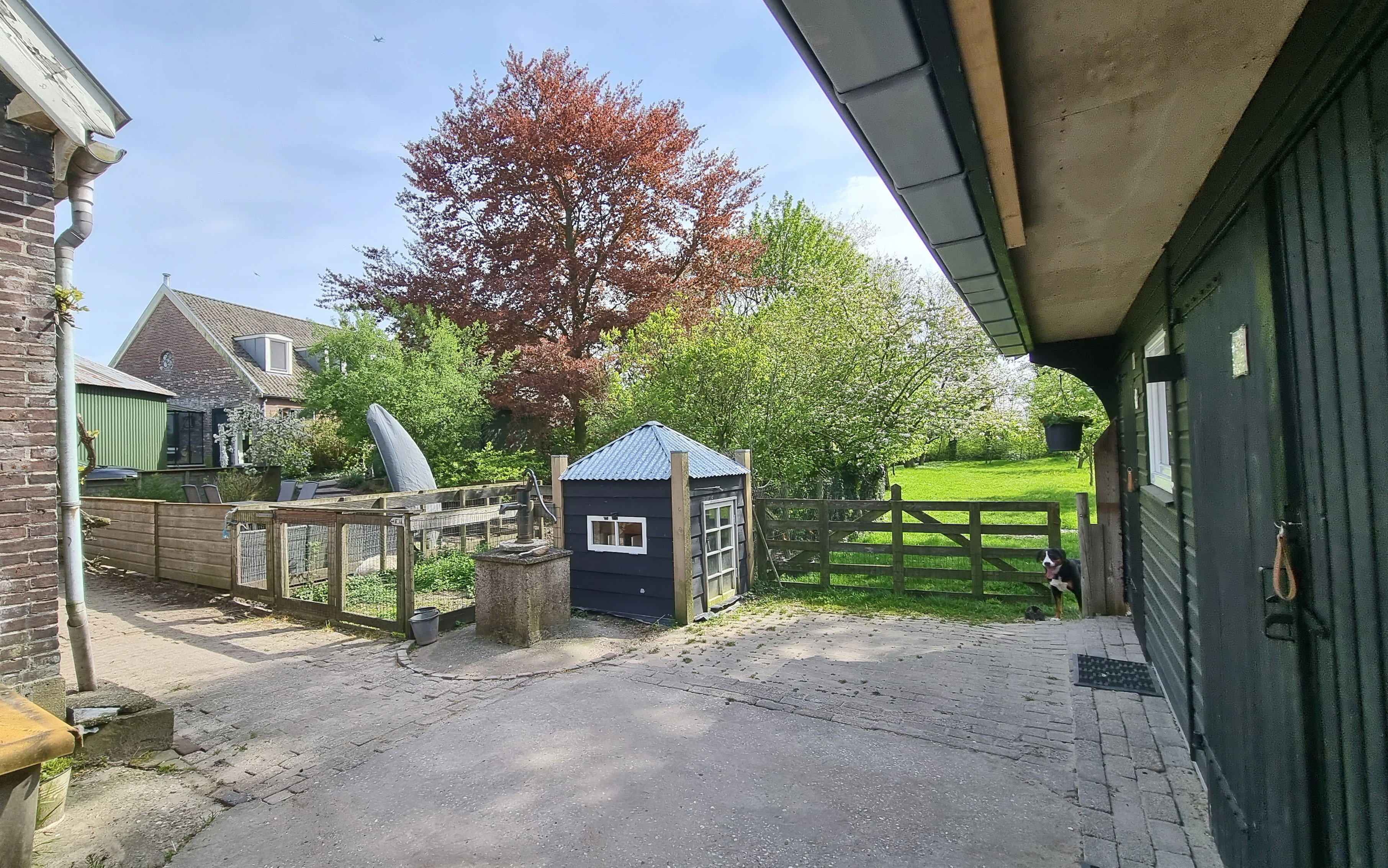 - image: 35