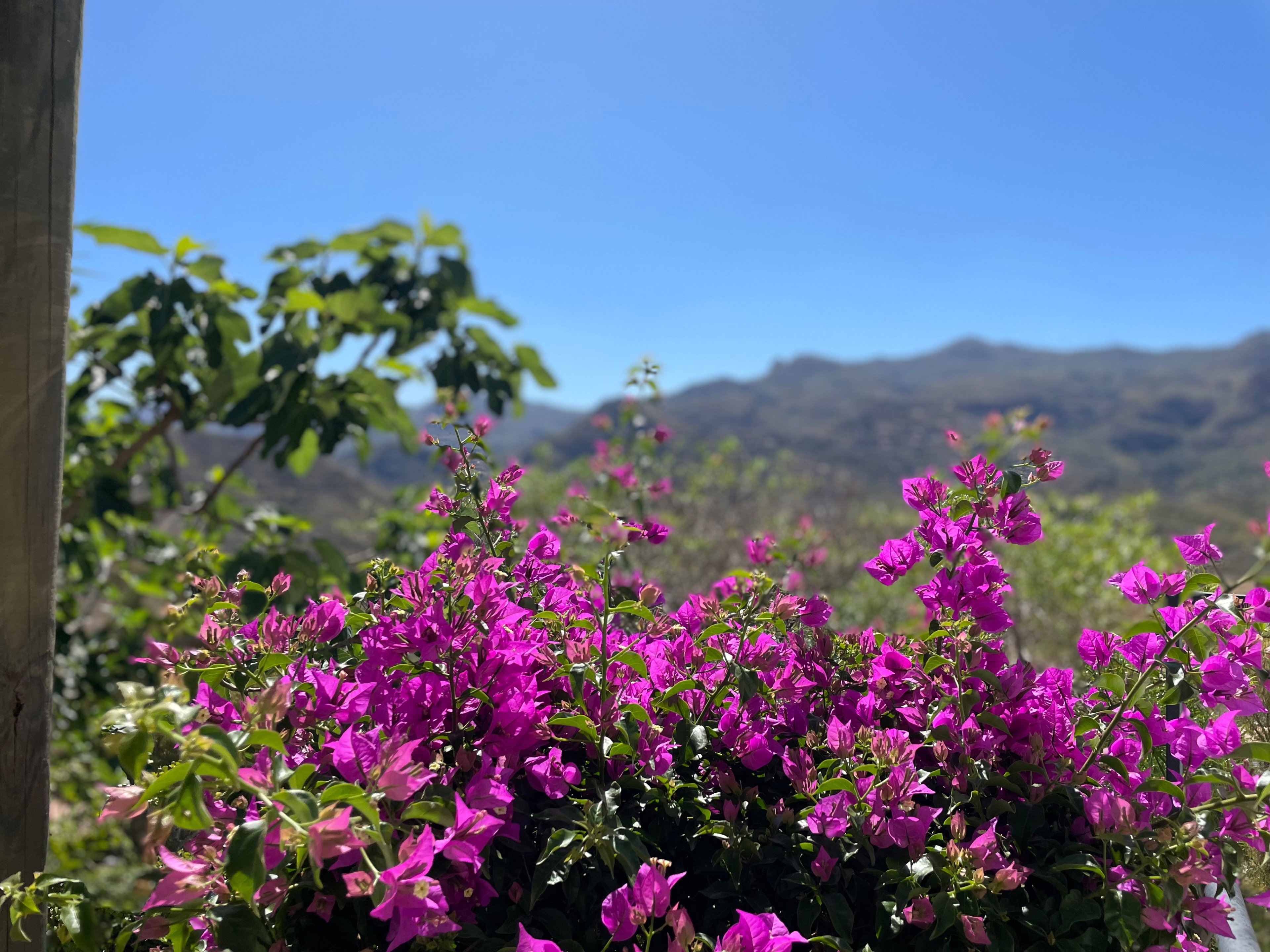 Casa nella natura a Turre